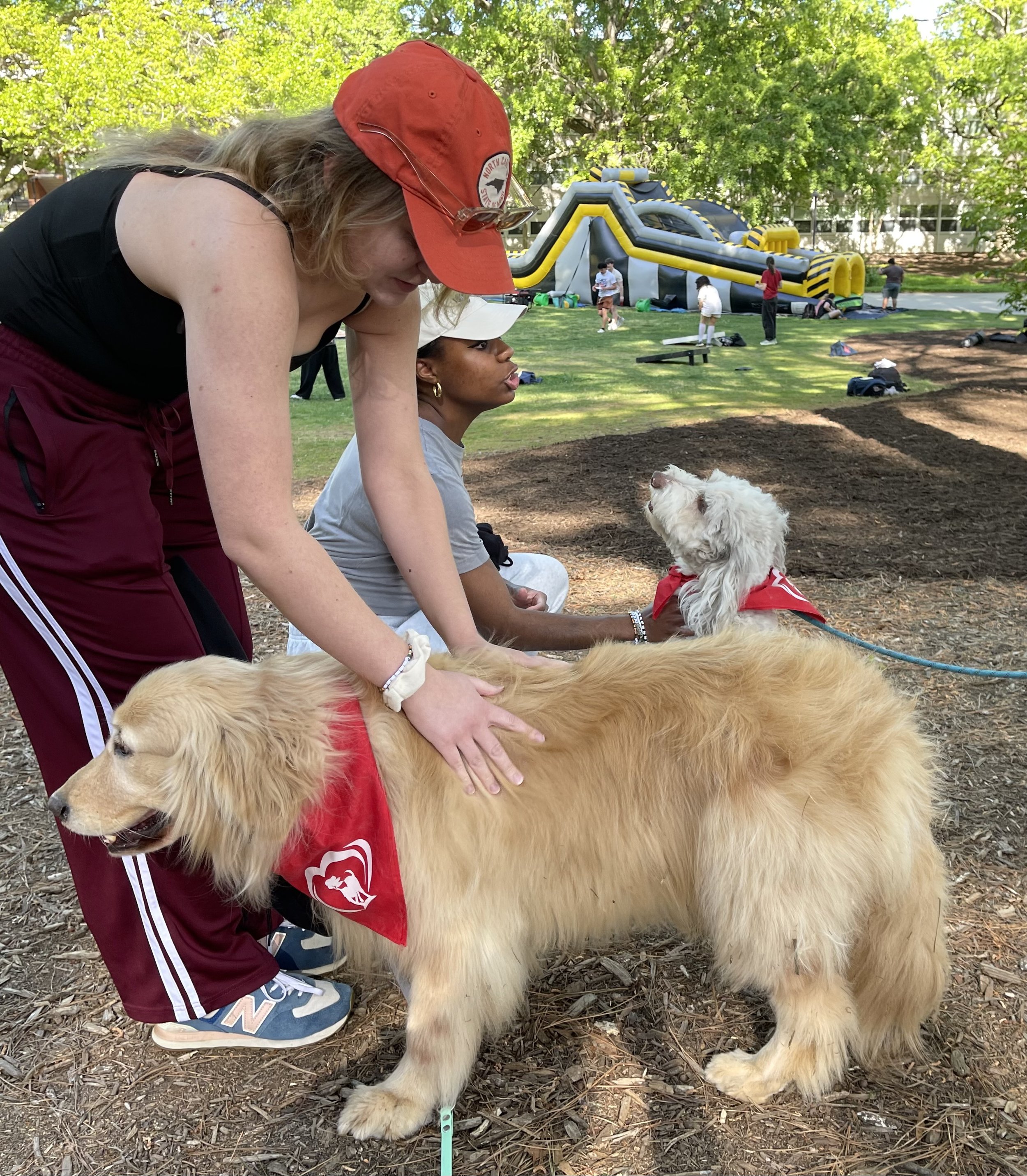 A woman and a girl petting a large, fluffy golden retriever dog outdoors in a park, with people and inflatable structures in the background.