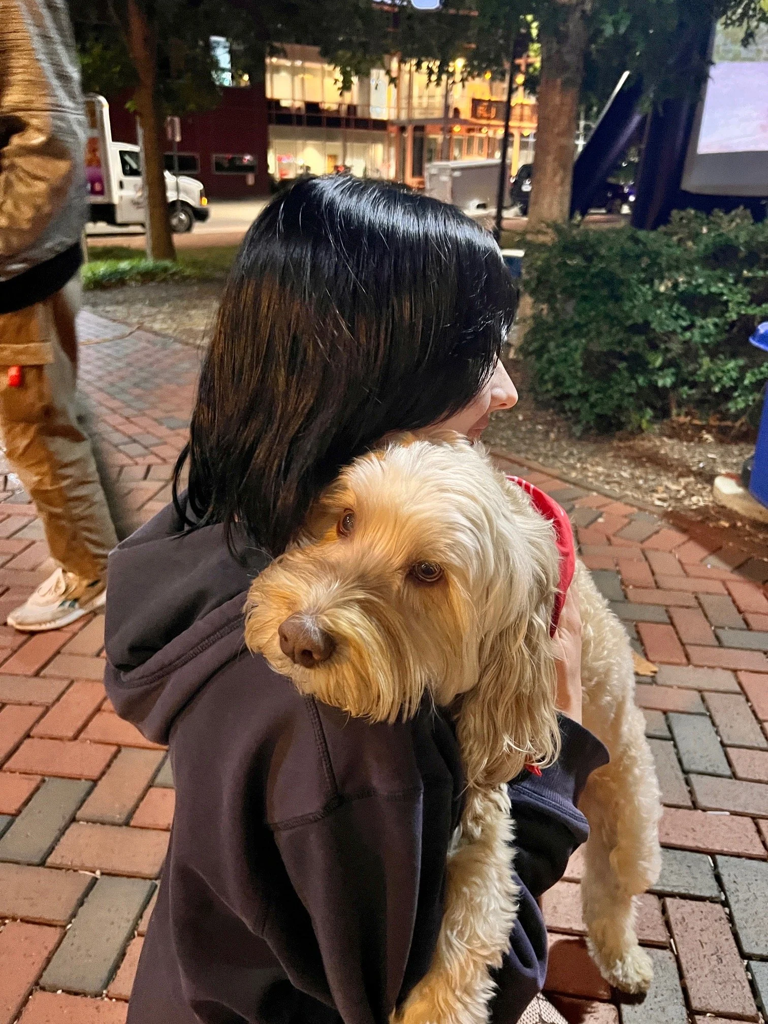 A woman with black hair holding a golden retriever puppy on a brick sidewalk at night. There are trees, a building, and a truck in the background.