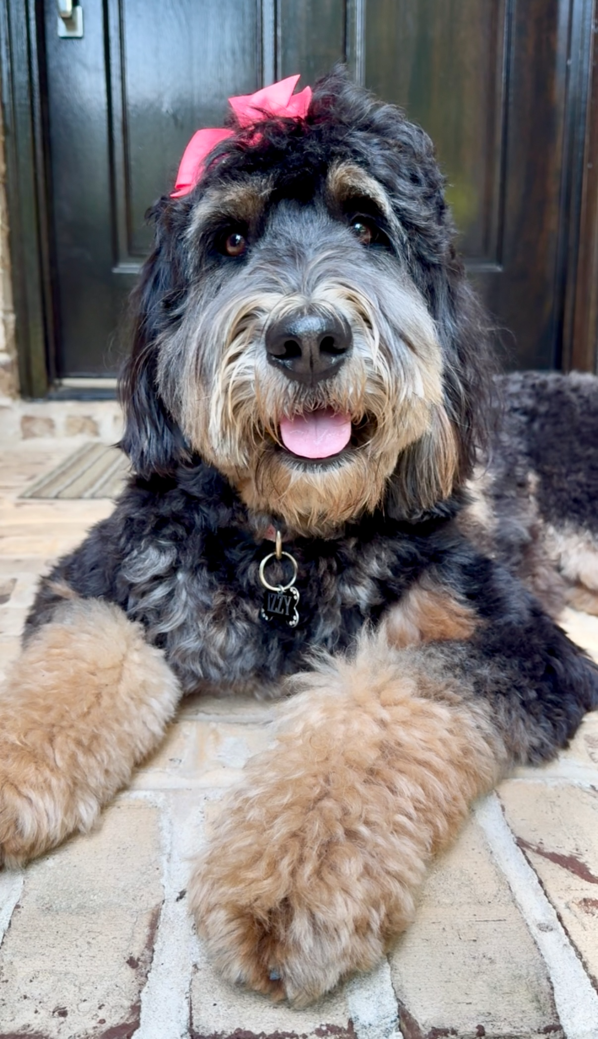 A fluffy black, tan, and gray dog with a pink bow on its head, lying on a brick porch.