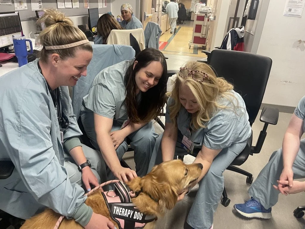 Three women in medical scrubs play with a golden retriever therapy dog in a healthcare setting.