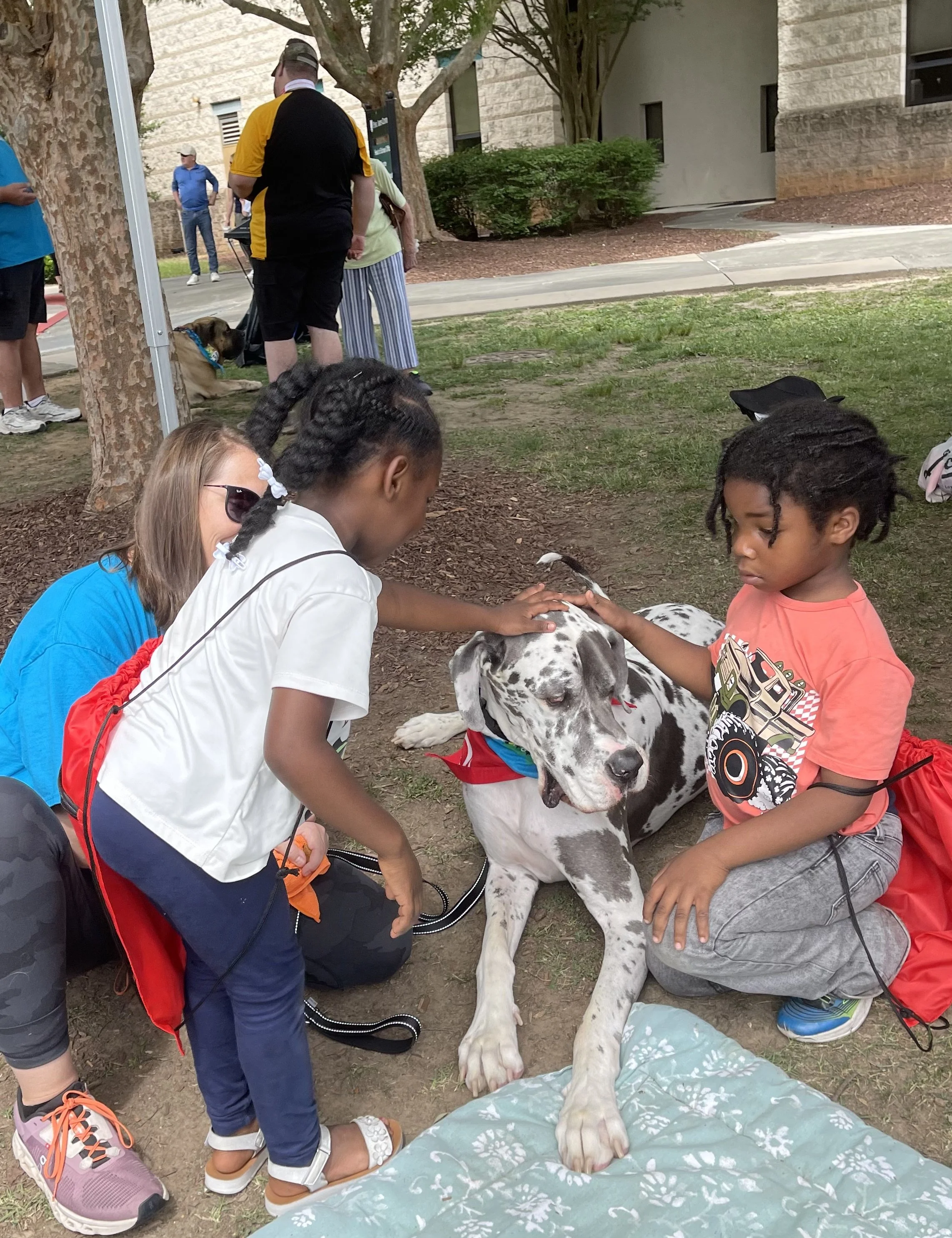 Children petting a large Dalmatian dog lying on a blanket outdoors, with a small group of people and trees in the background.