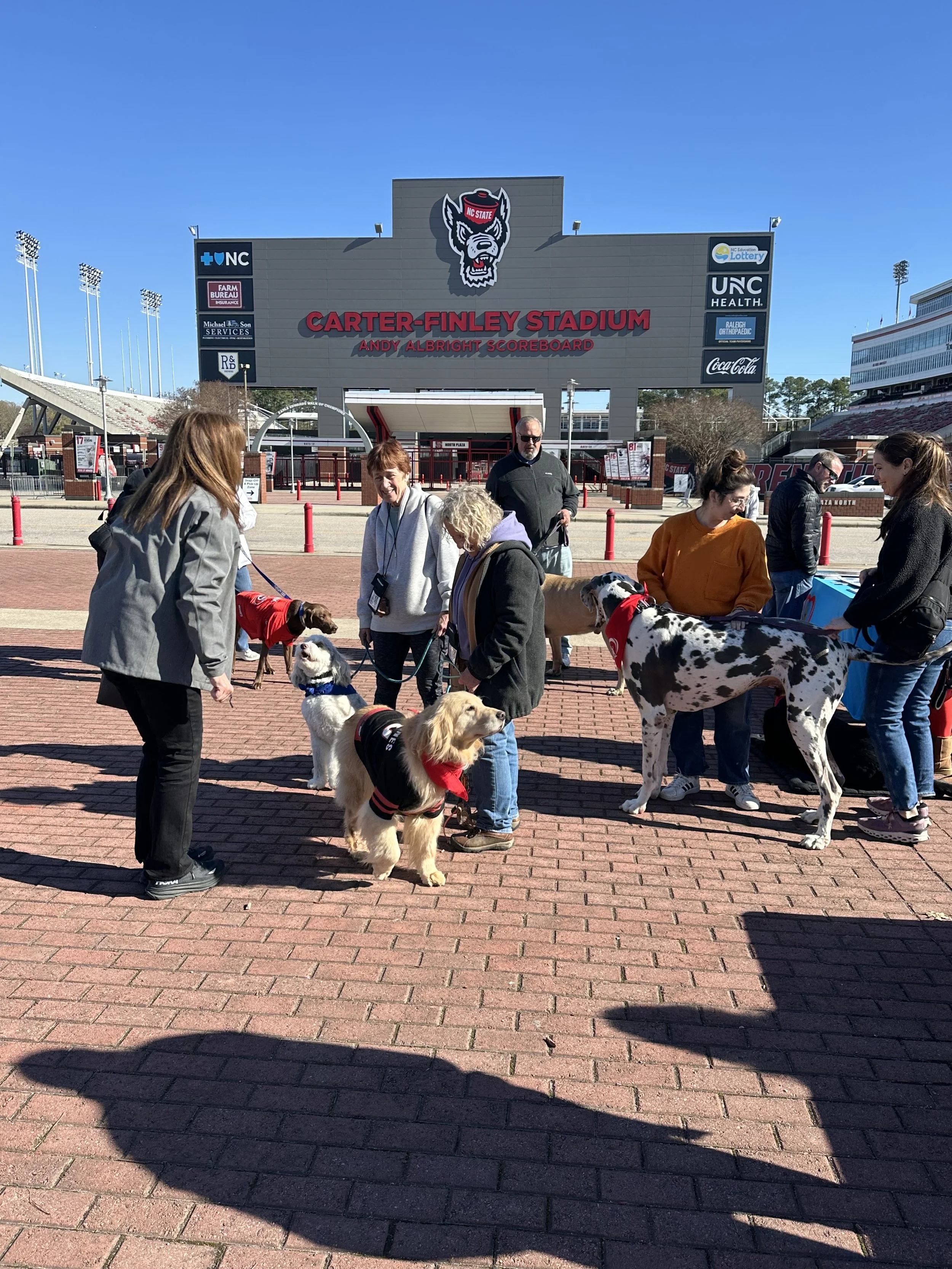 People and dogs gathering outside Carter-Finley Stadium at NC State University on a sunny day.