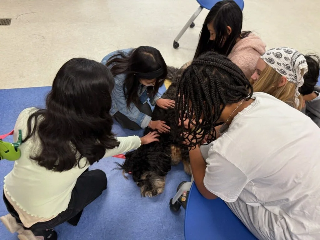 Group of children gathered around a dog, petting it and touching its fur, indoors on a blue mat.