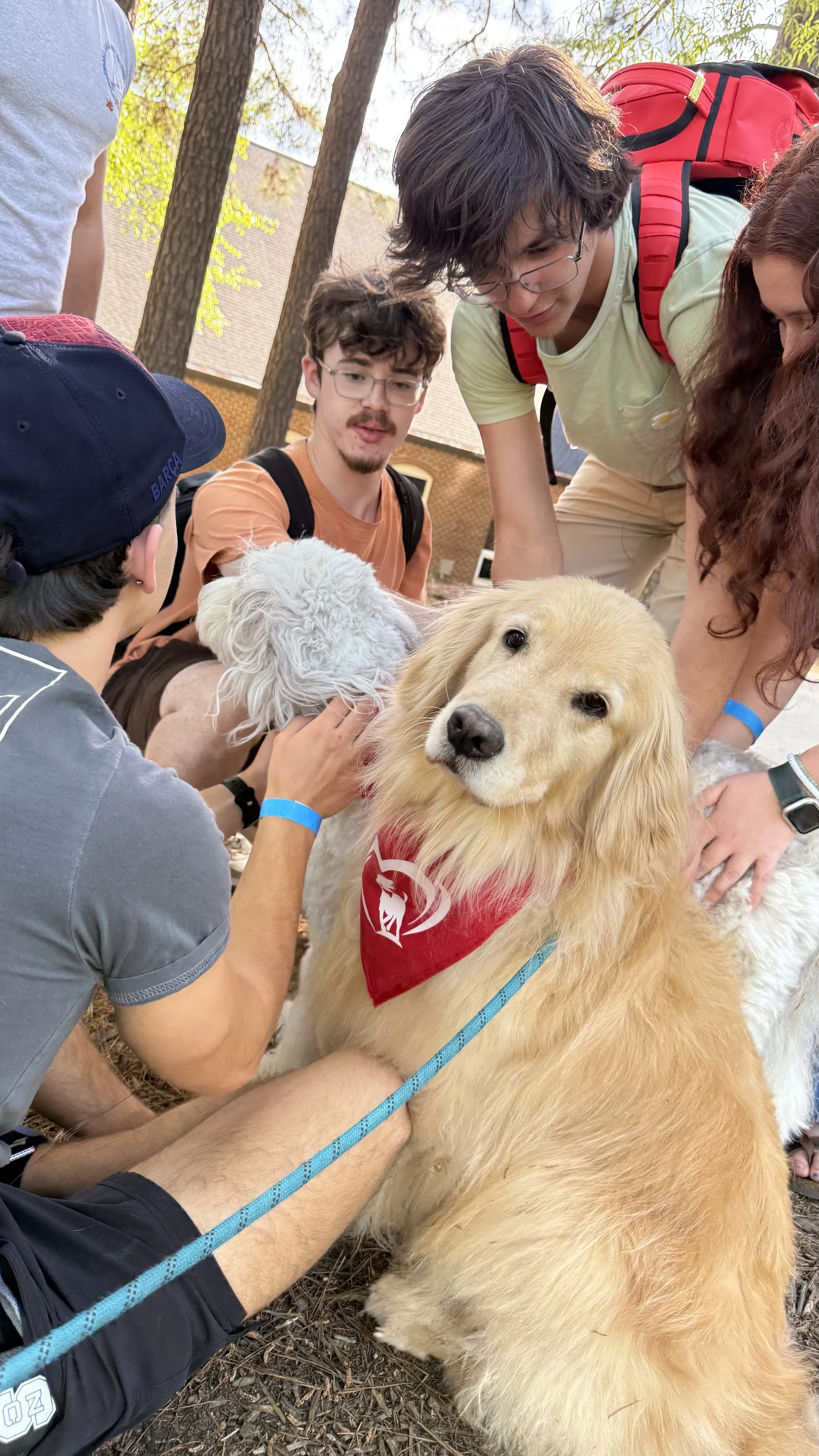 Group of people petting a golden retriever dog outdoors in a park with trees.
