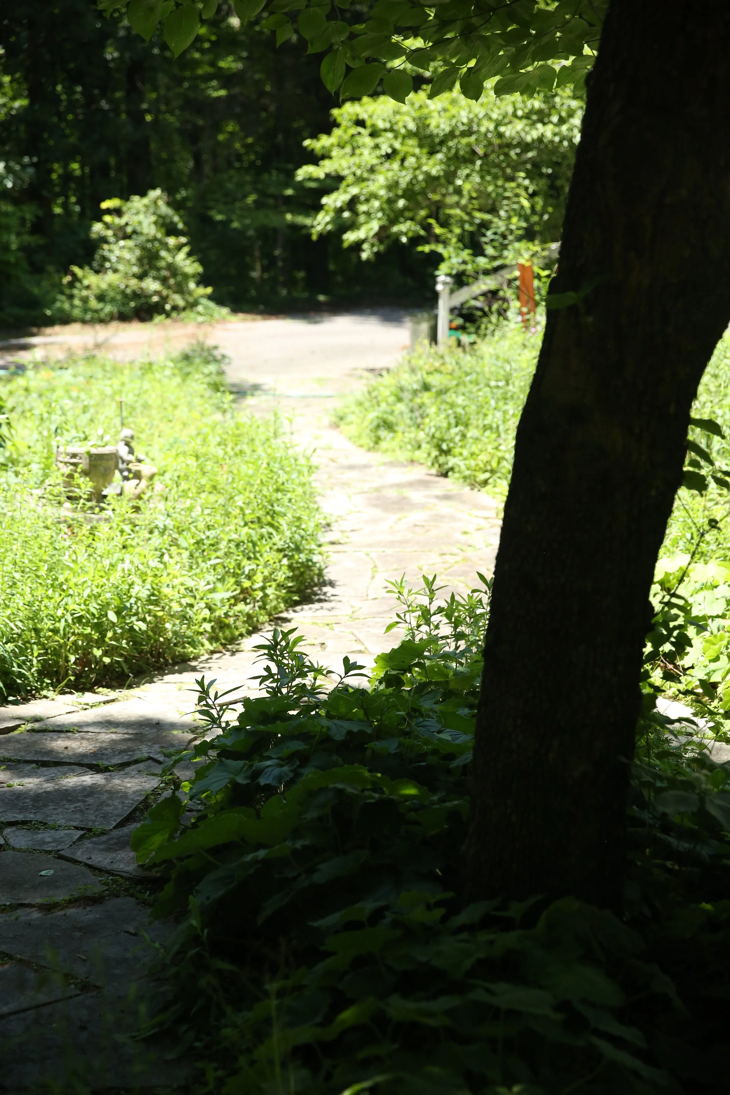 A shaded garden pathway with lush green bushes and trees, including a large tree trunk in the foreground and a small garden fountain on the left.