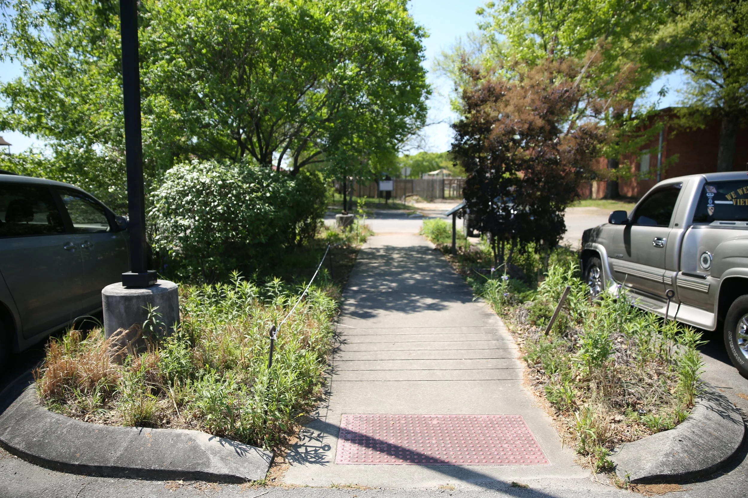 A sidewalk bordered by greenery and shrubbery, with parked cars on either side and trees overhead.
