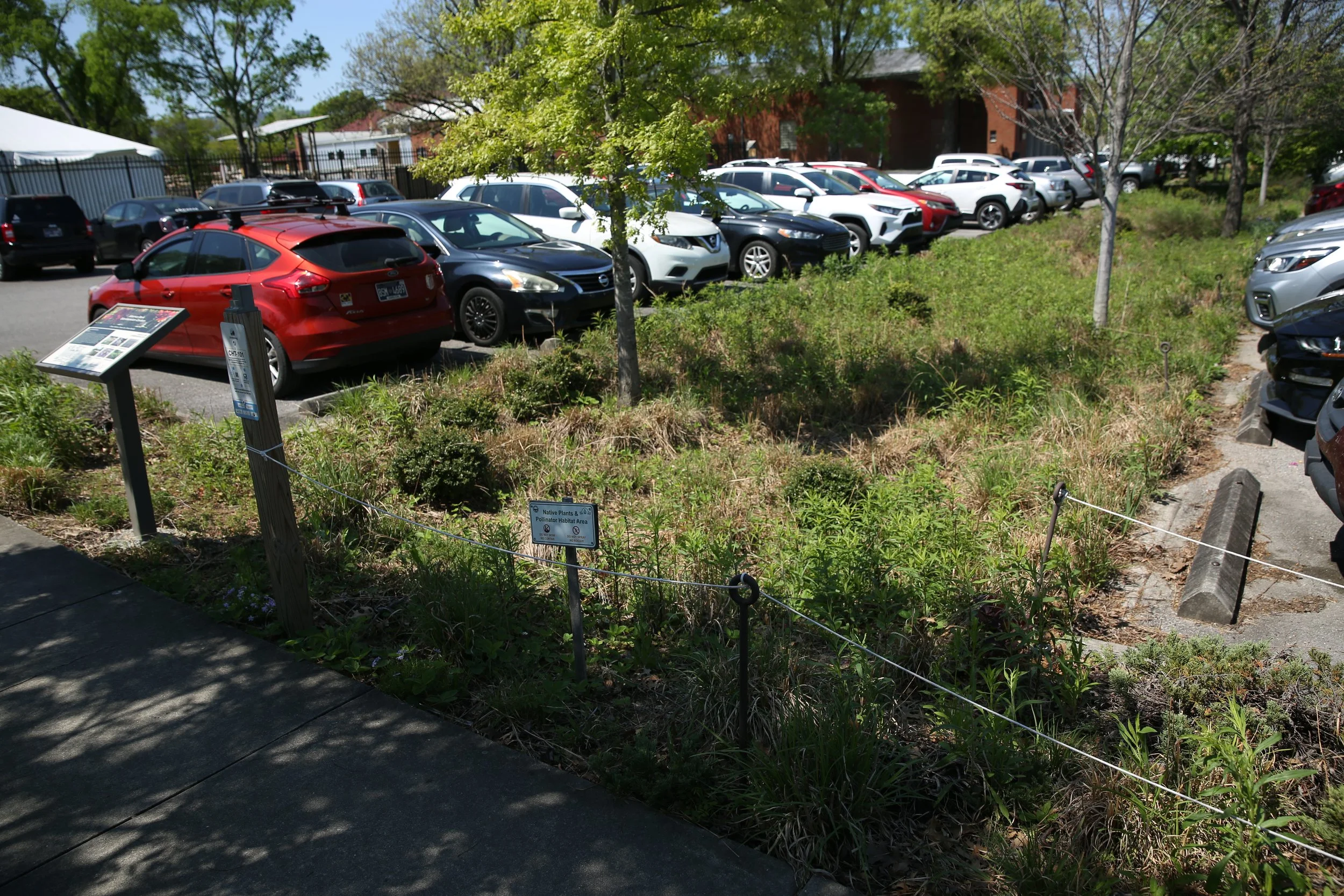 A parking lot with multiple cars, some trees, and a small green garden area with plants and signboards.