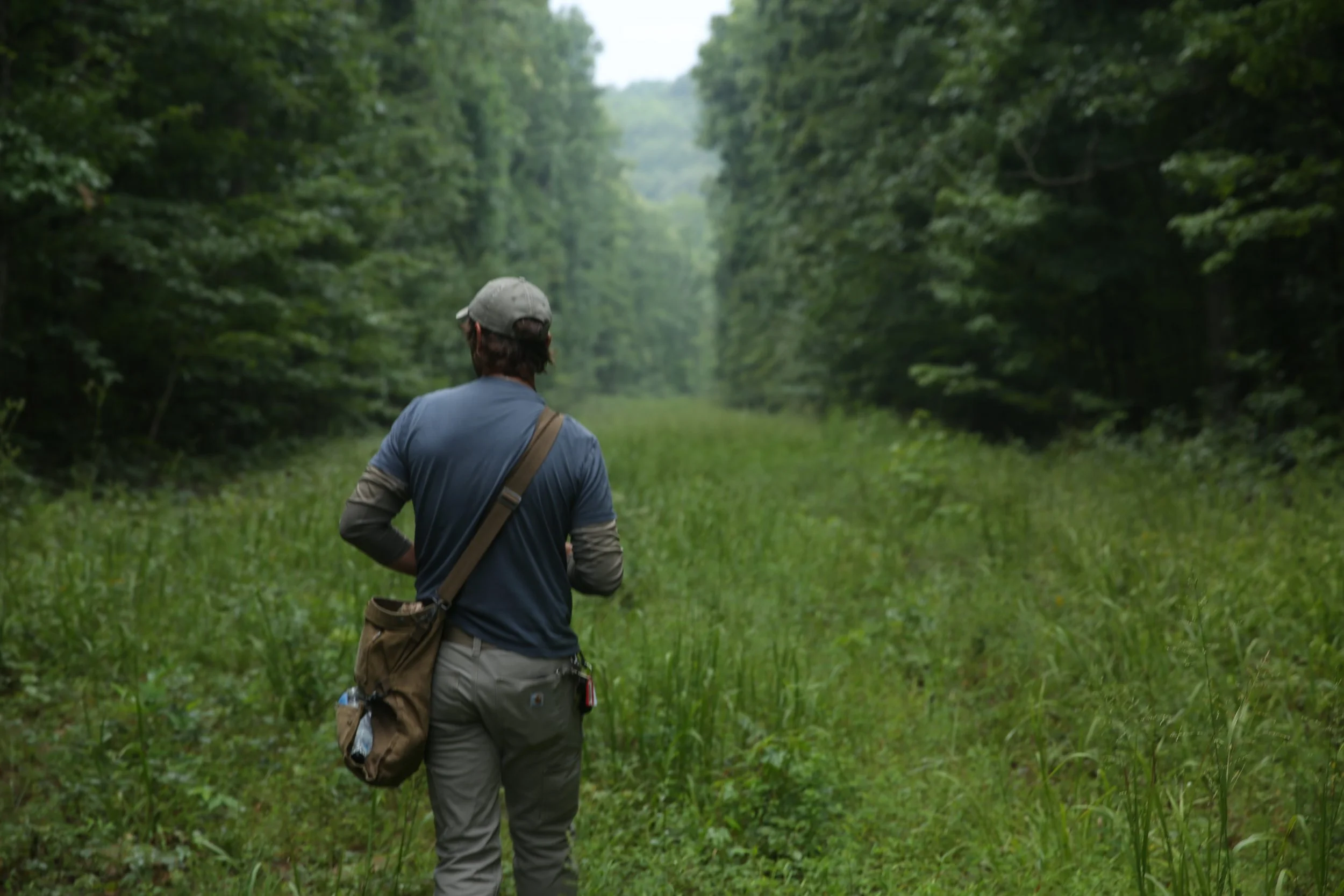 A person walking through a lush green forest trail with dense trees on either side, wearing a gray cap, blue jacket, gray pants, and carrying a tan shoulder bag.