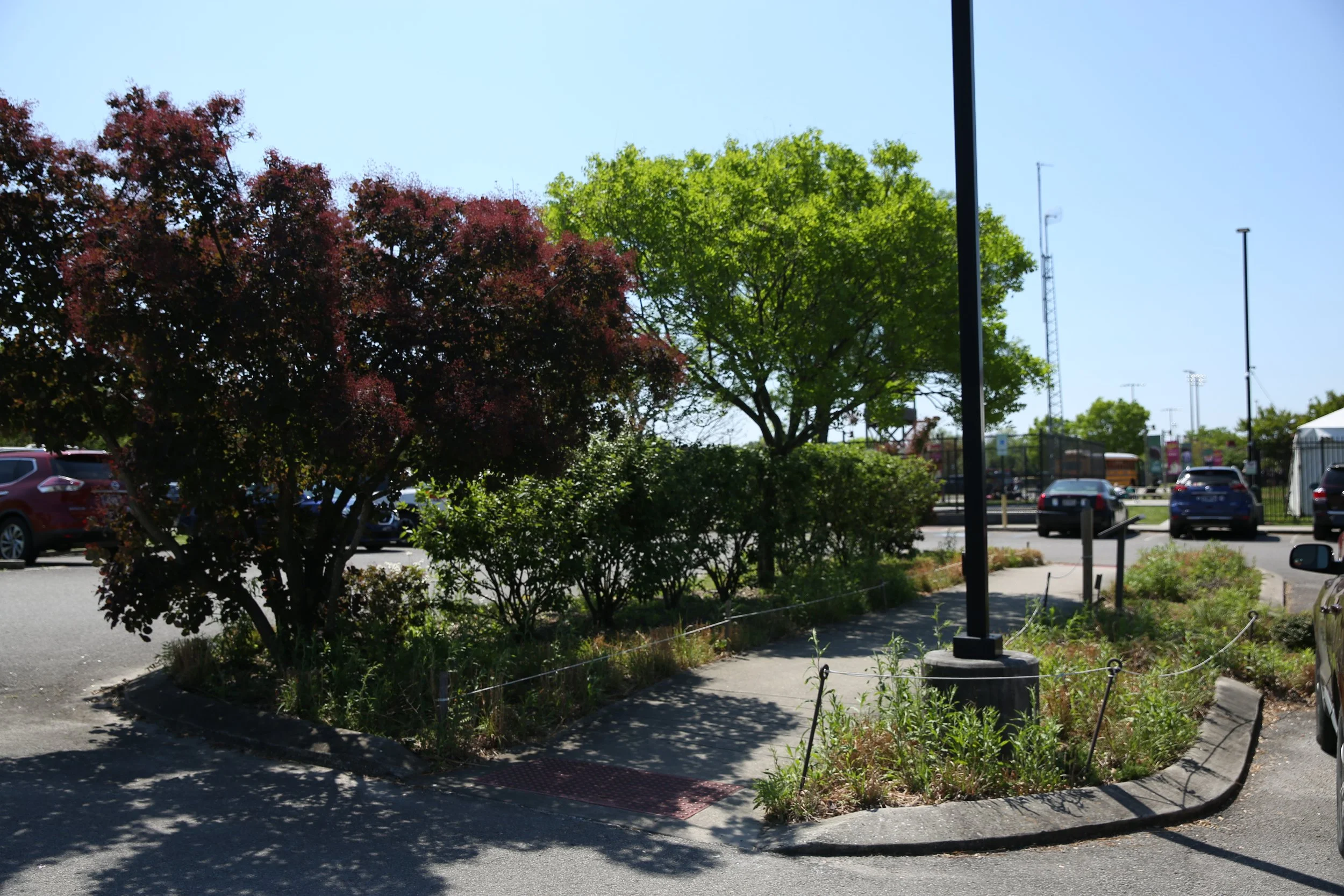 A park with a sidewalk, two trees with colored and green leaves, benches, and a parking lot with cars in the background. Tall light poles and antennas are also visible against a clear blue sky.
