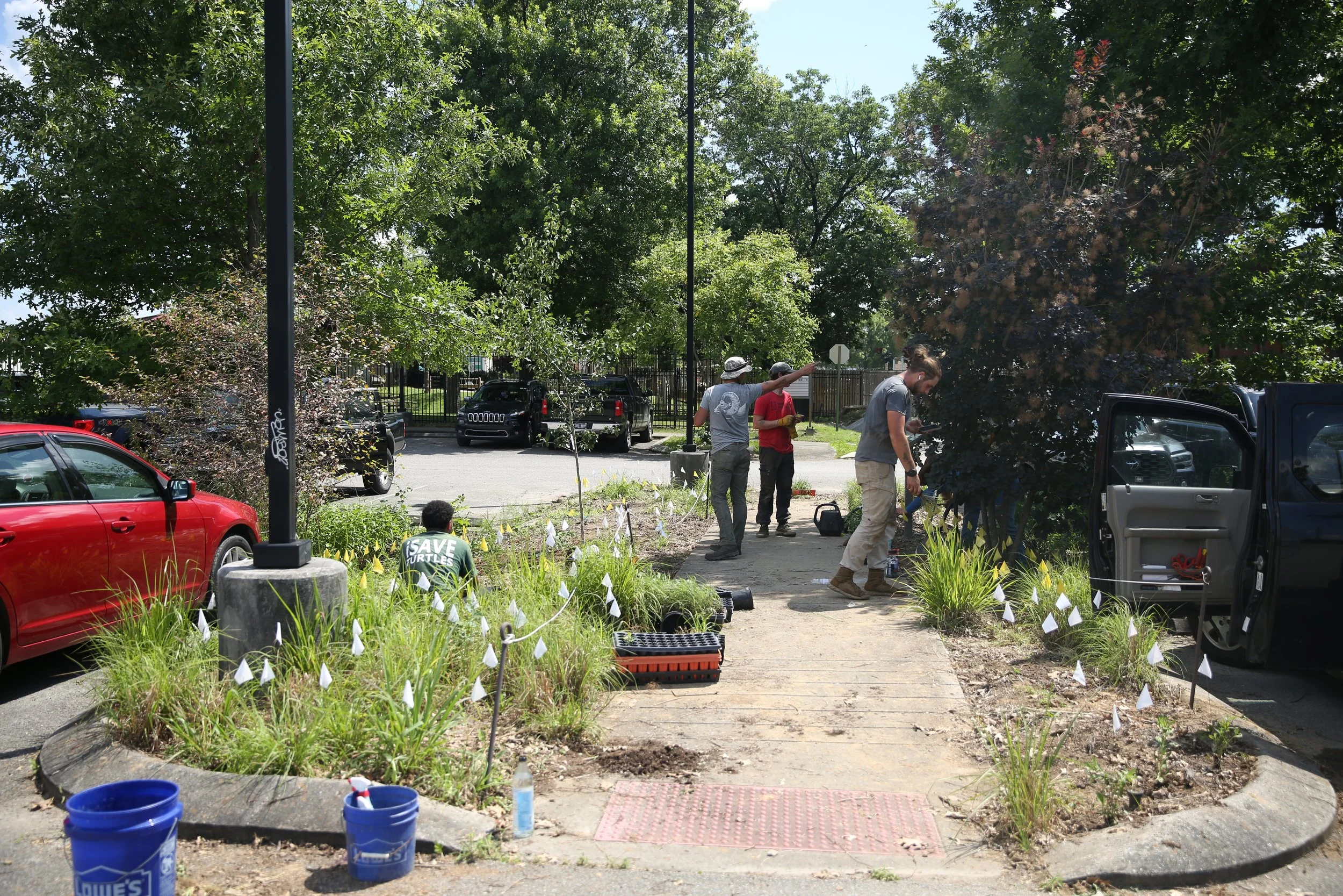 People working on a gardening project in a park, planting and landscaping, with trees and parked cars in the background.