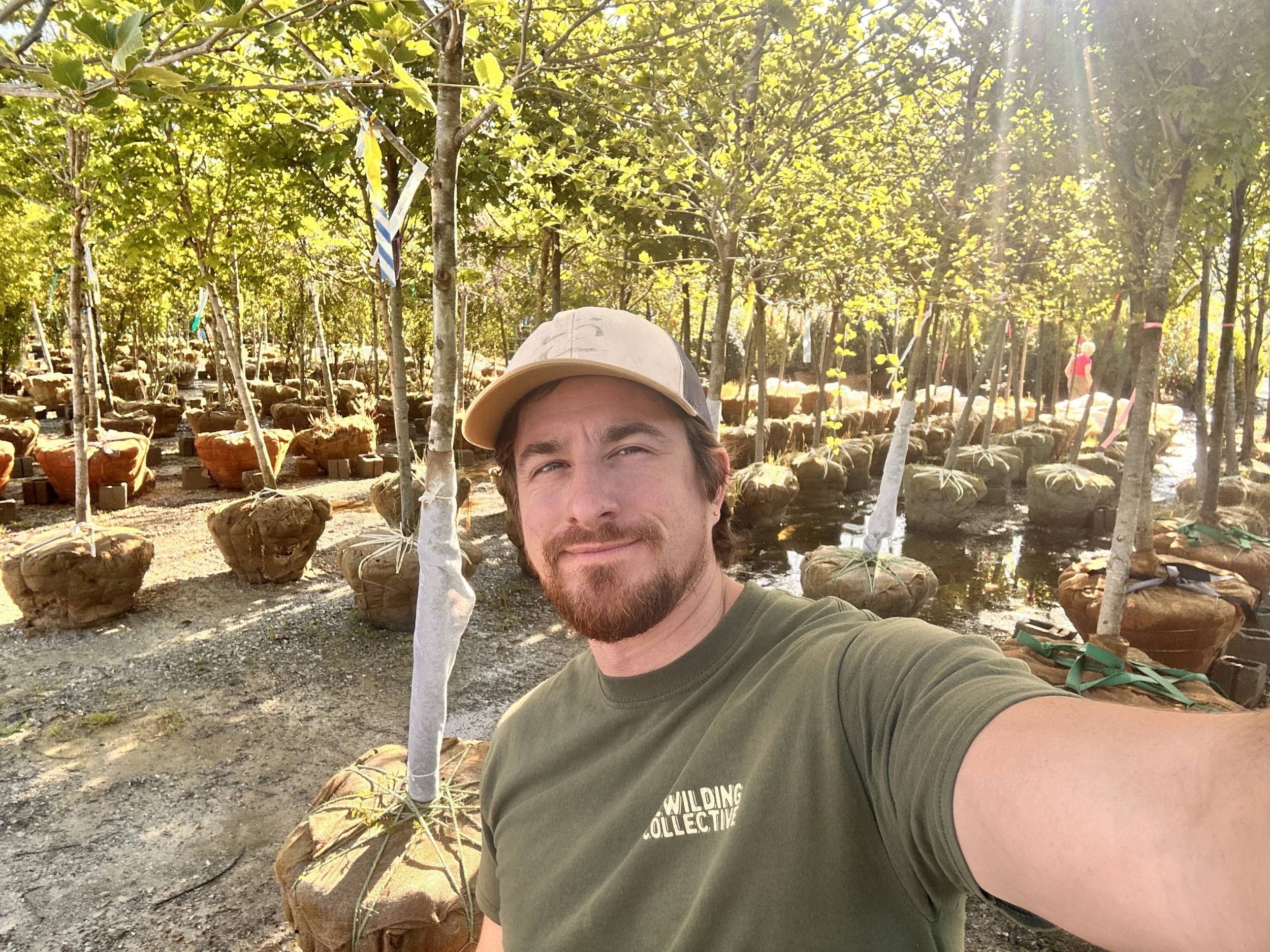 A man wearing a beige baseball cap and green T-shirt taking a selfie in a nursery filled with small trees with wrapped root balls and colorful ribbons tied to the branches, with sunlight filtering through the leaves.