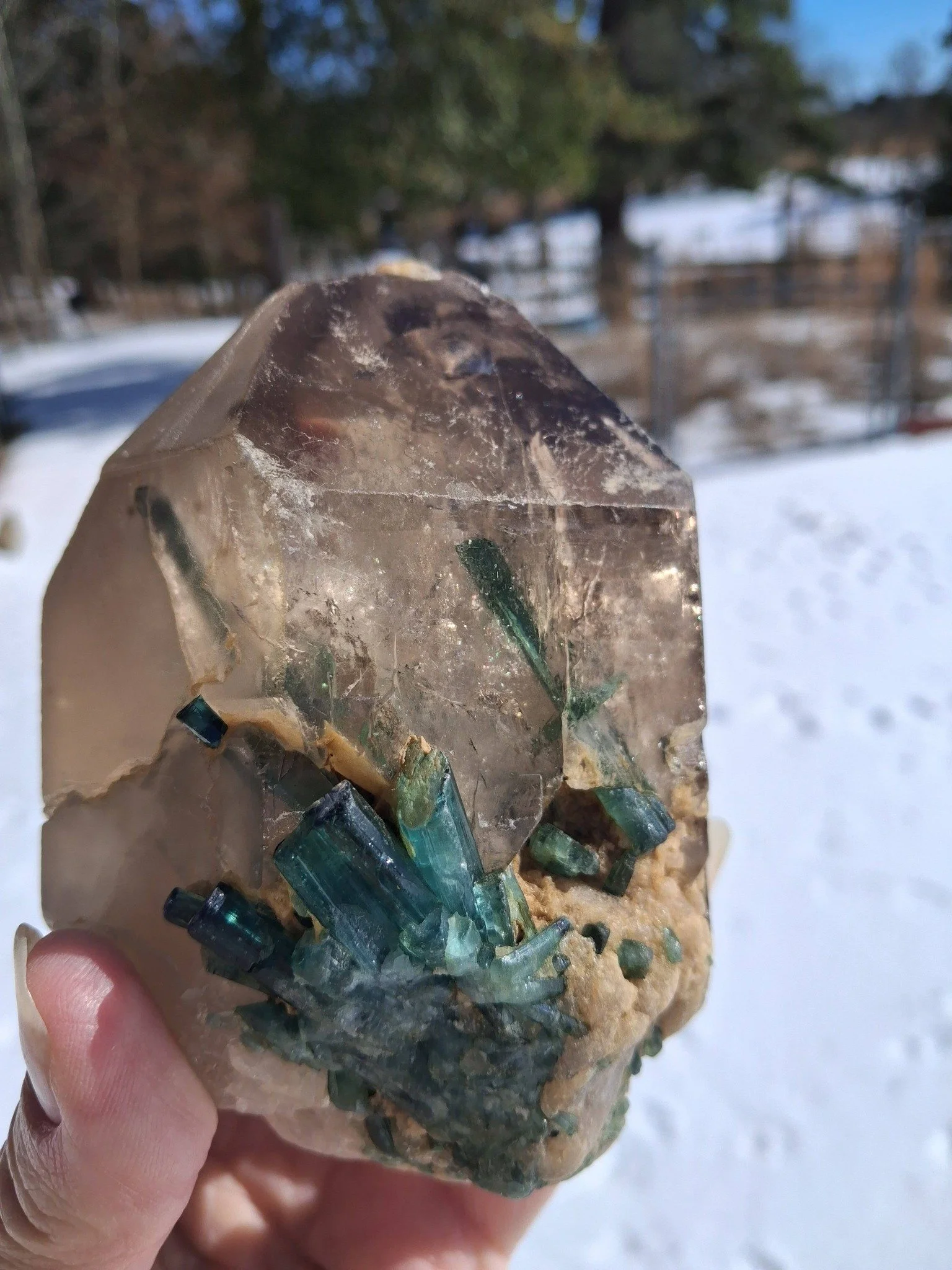 Smoky quartz with indicolite tourmaline