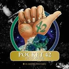 Pocket42.jpeg