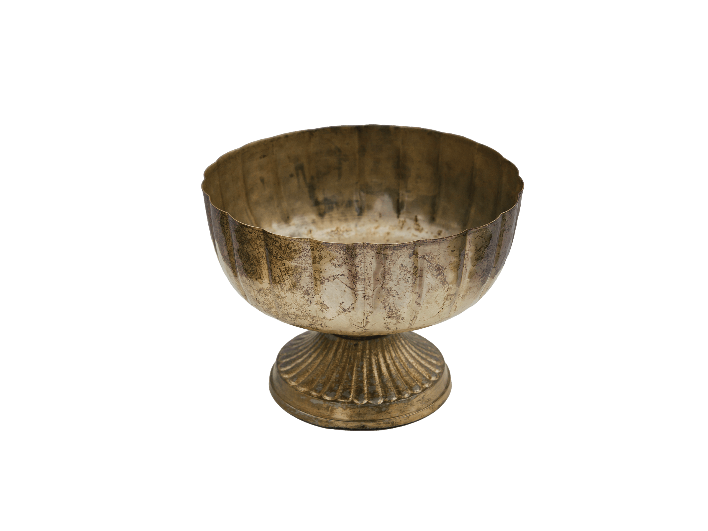 the Camille Compote