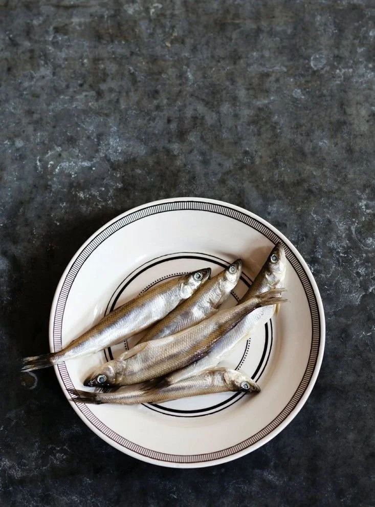 Cinco diminutas sardinas en un plato blanco decorado con líneas negras, colocado sobre una superficie de piedra oscura.