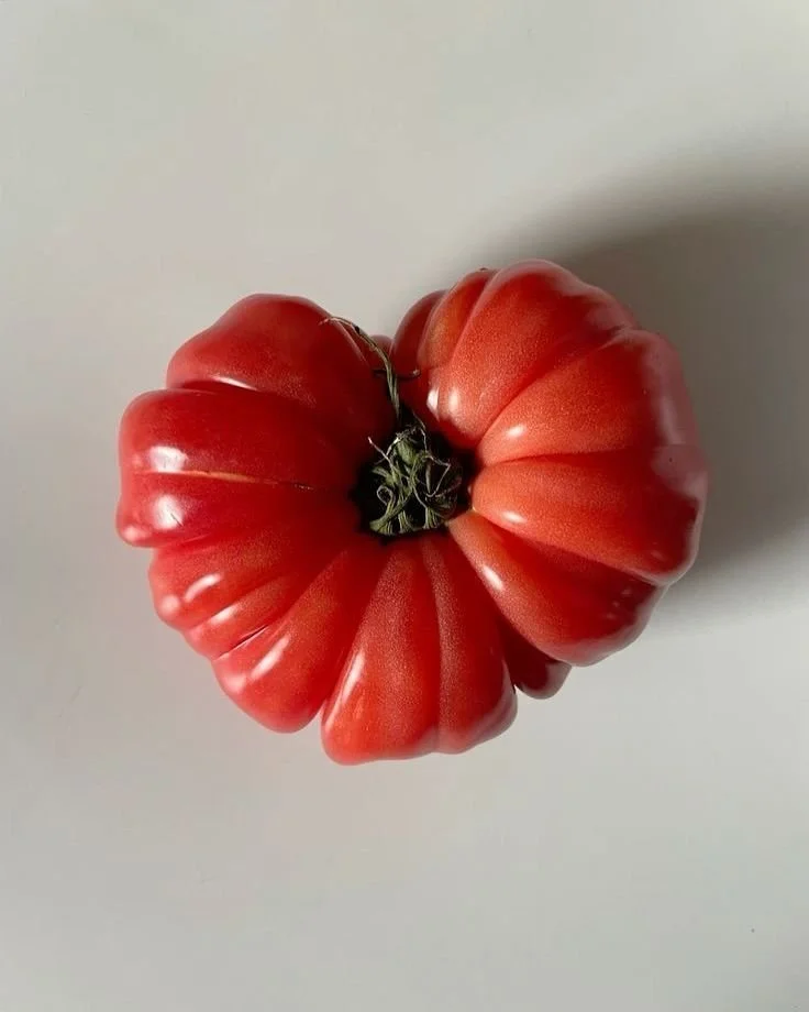 Tomate grande, irregular y rojizo, colocado sobre fondo blanco.