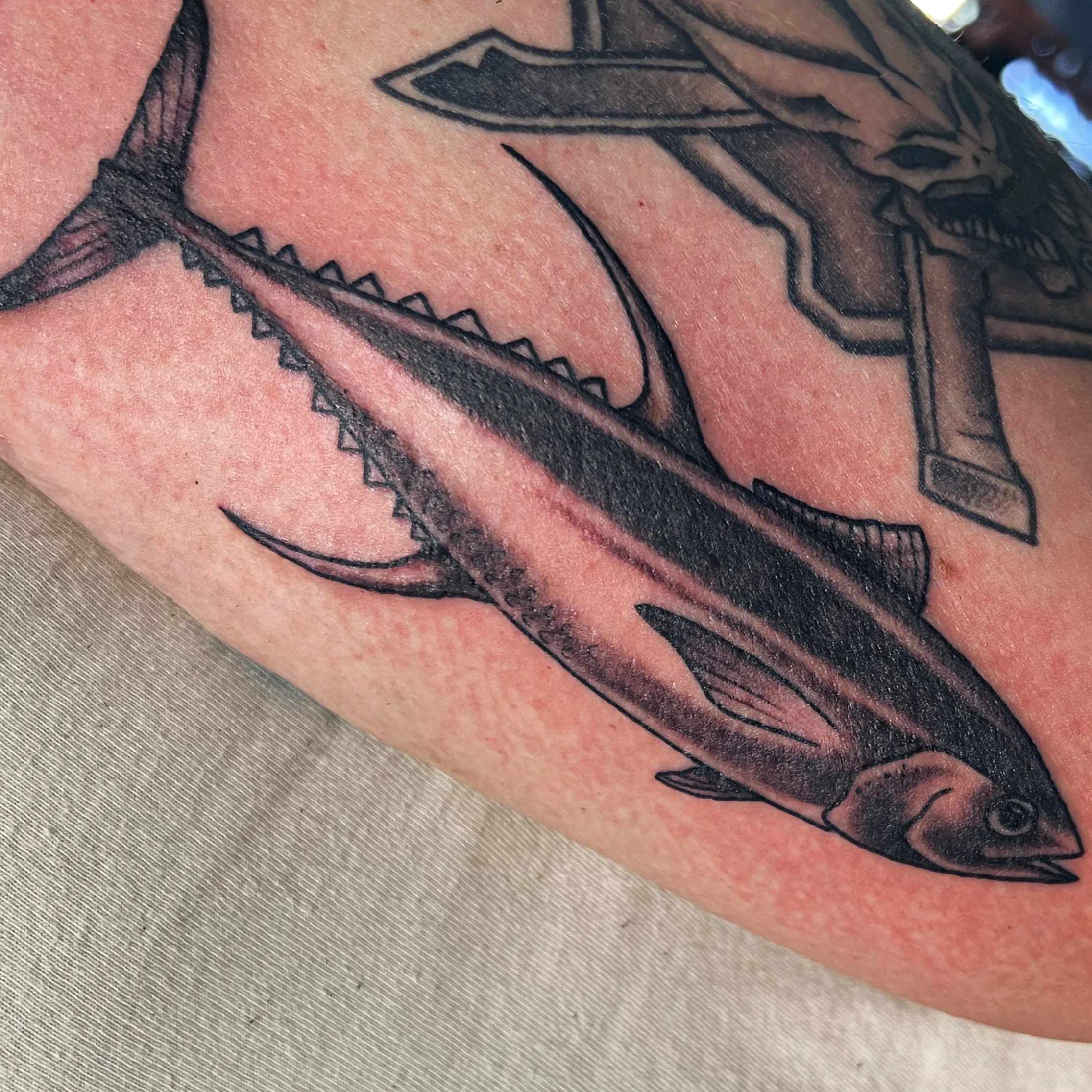 Close-up of a tattoo on a person's skin showing a detailed outline of a tuna fish using black ink.