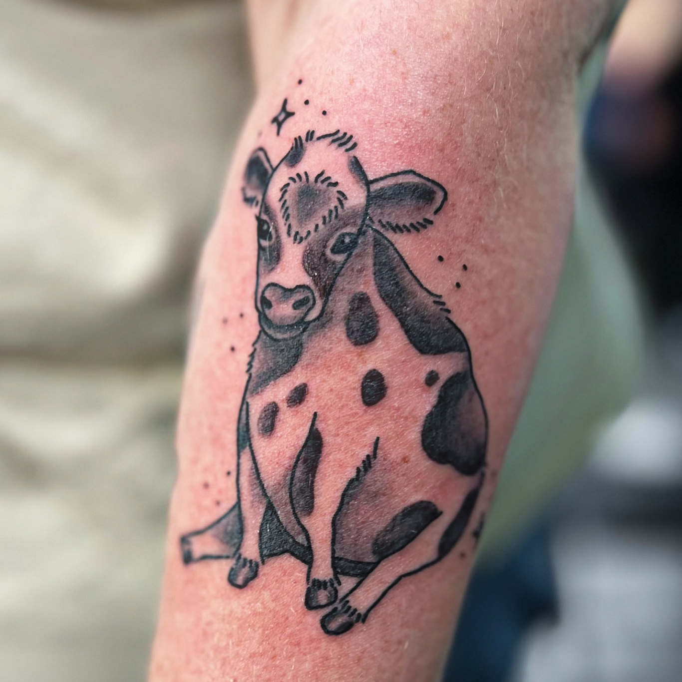 Tattoo of a cow on a person's arm.