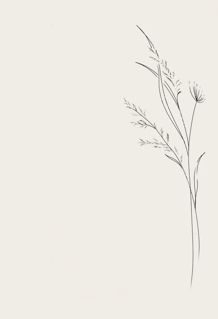 IMG_6184.jpeg
