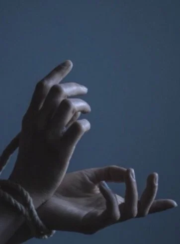 The Knot