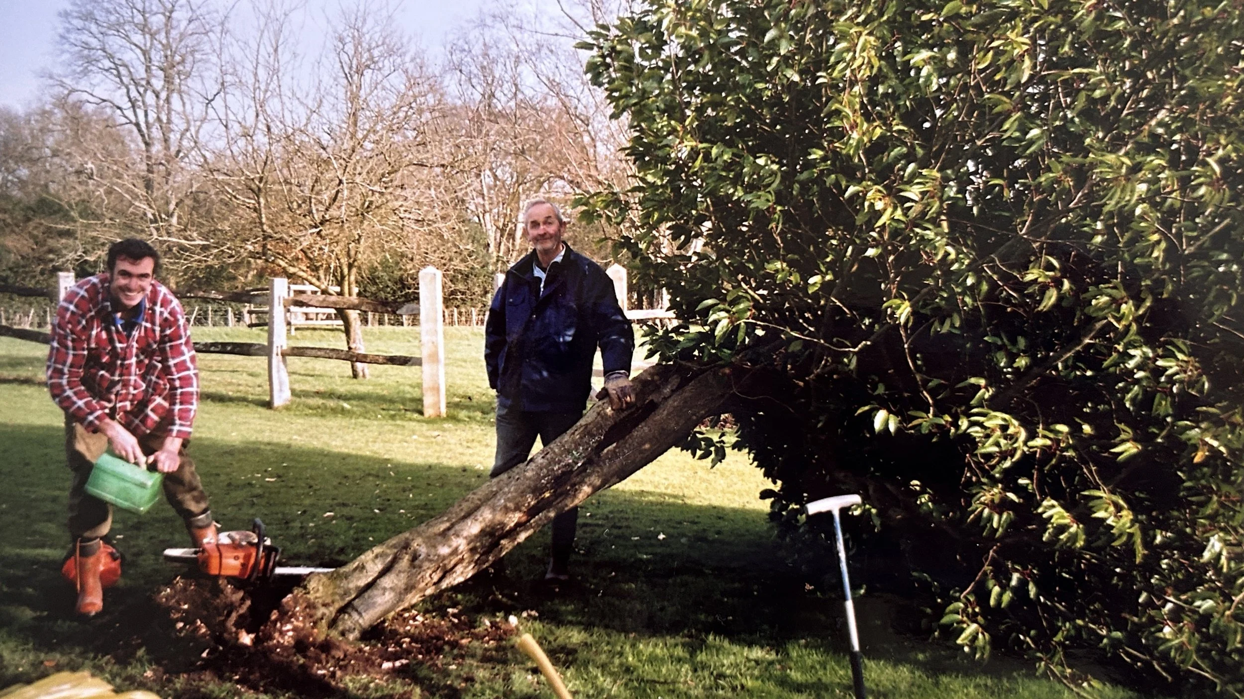 Two men are cutting down a large tree that has fallen over. One man is holding a chainsaw, smiling. The other man is standing, leaning on the tree, smiling, wearing a dark jacket. There is a fence and leafless trees in the background.