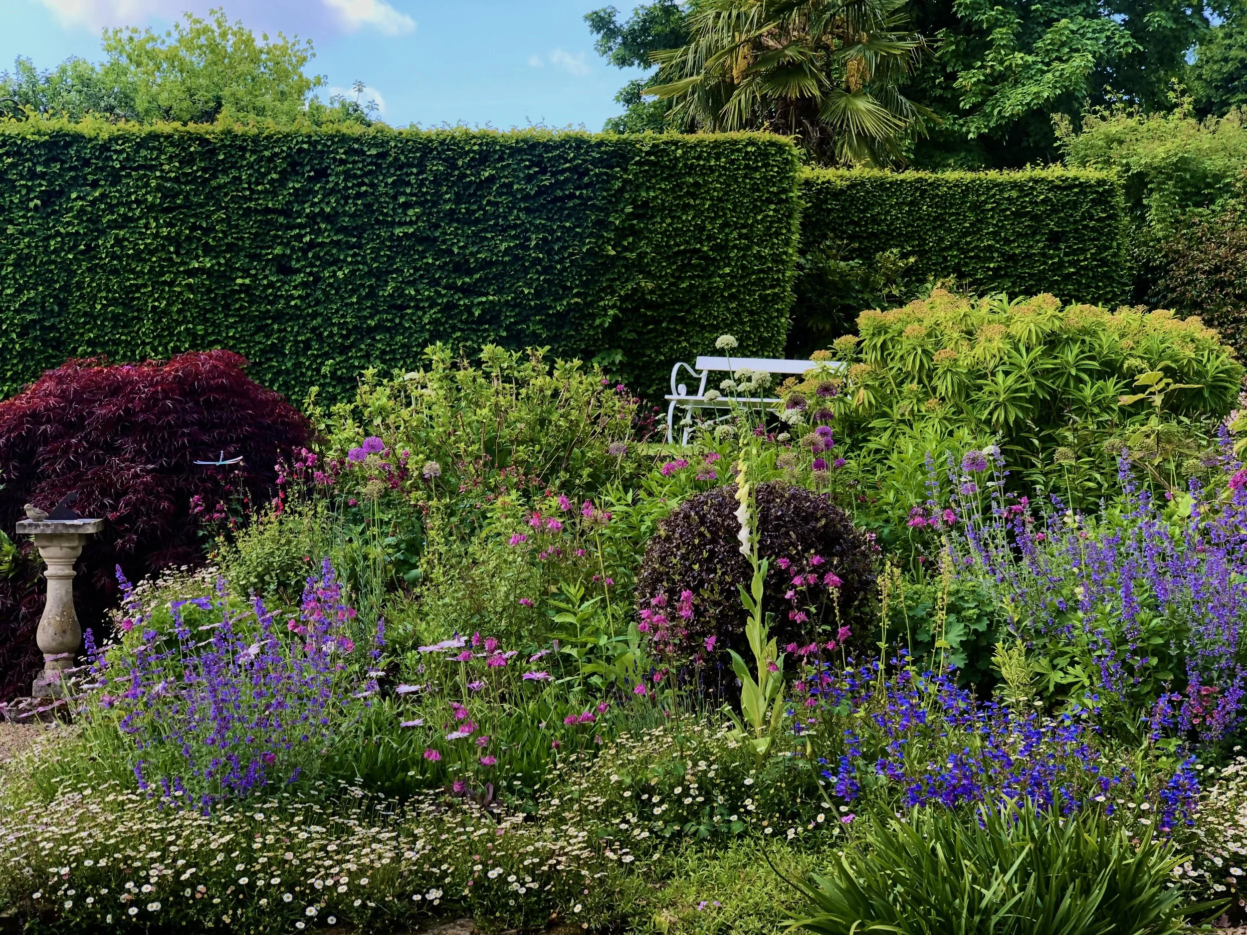 A lush garden featuring a variety of colourful flowers, a white garden bench, and a hedgerow with tall trees in the background under a blue sky. A lush garden designed and created by JP Gardens, Tunbridge Wells, Kent.