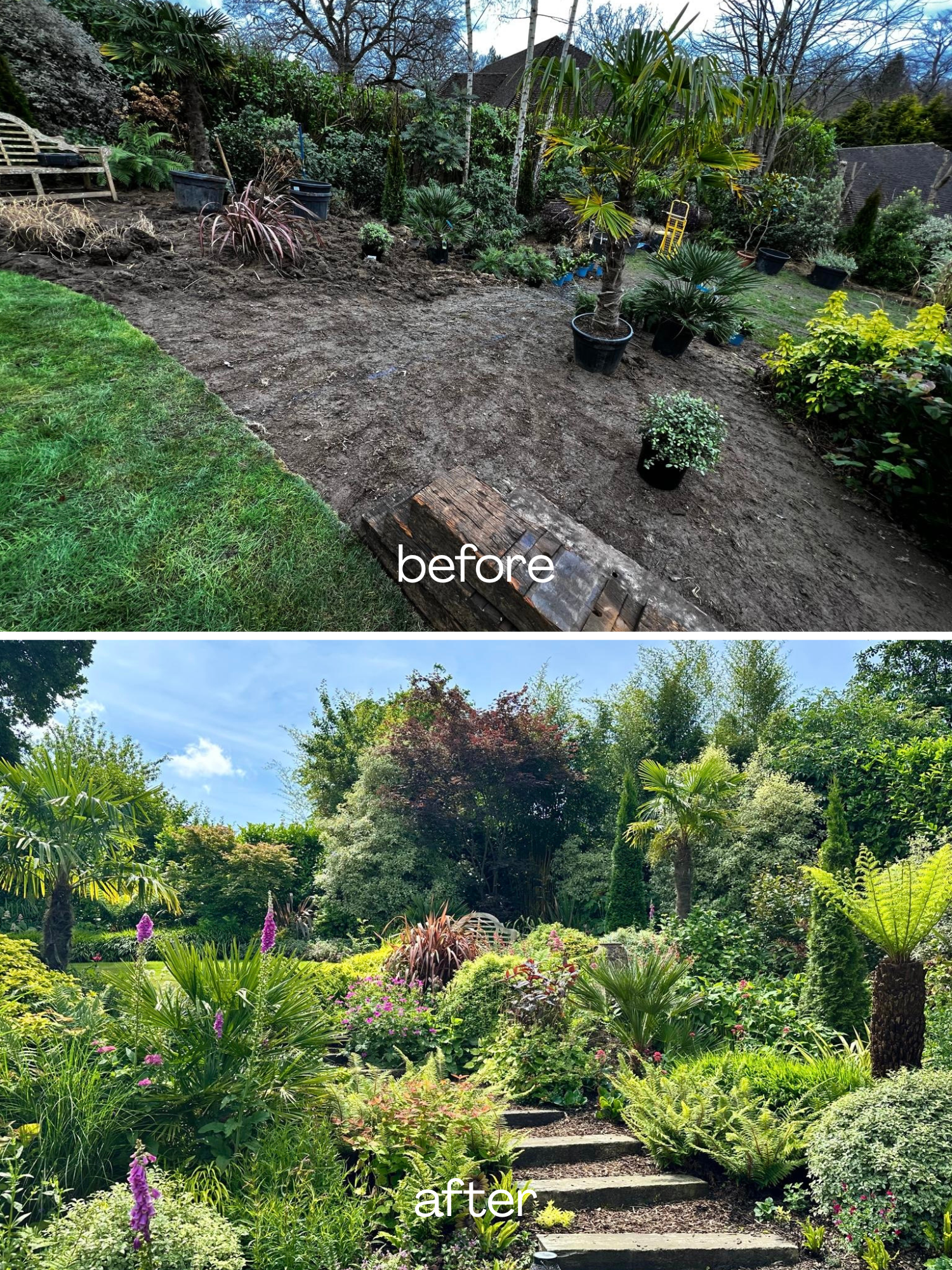 Comparison of a backyard before and after landscaping. The "before" image shows bare soil and a few potted plants, while the "after" image features a lush, well-maintained garden with various trees, shrubs, and flowers, under a bright, partly cloudy sky.