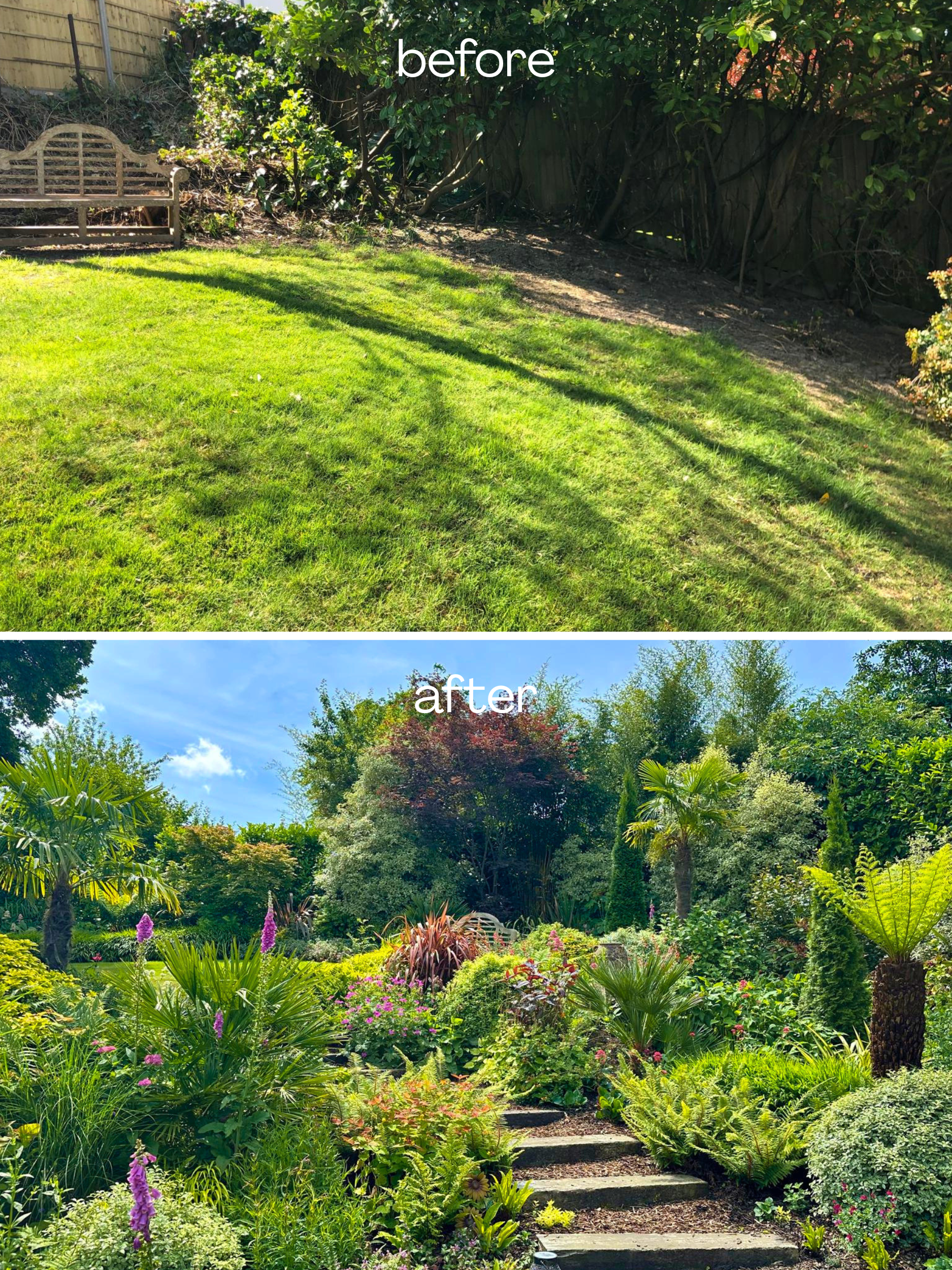 A before and after comparison of a garden area. The top shows an empty patch of dirt with a bench and some bushes. The bottom shows the same area transformed into a lush, vibrant garden with various plants, trees, and colorful flowers.
