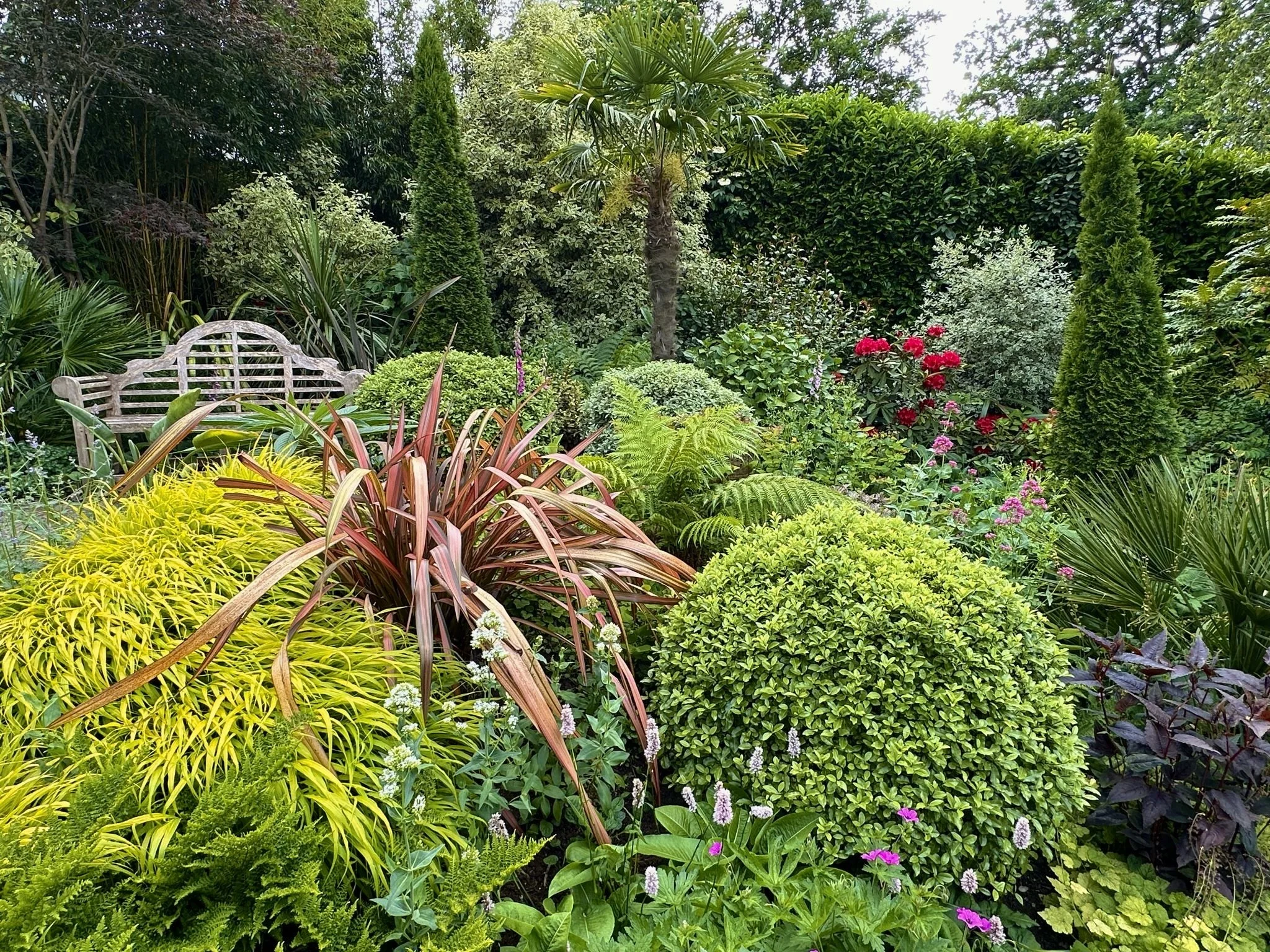 Lush garden with various green plants, tropical botanicals, bushes, and flowers, and a wooden garden bench on the left side.