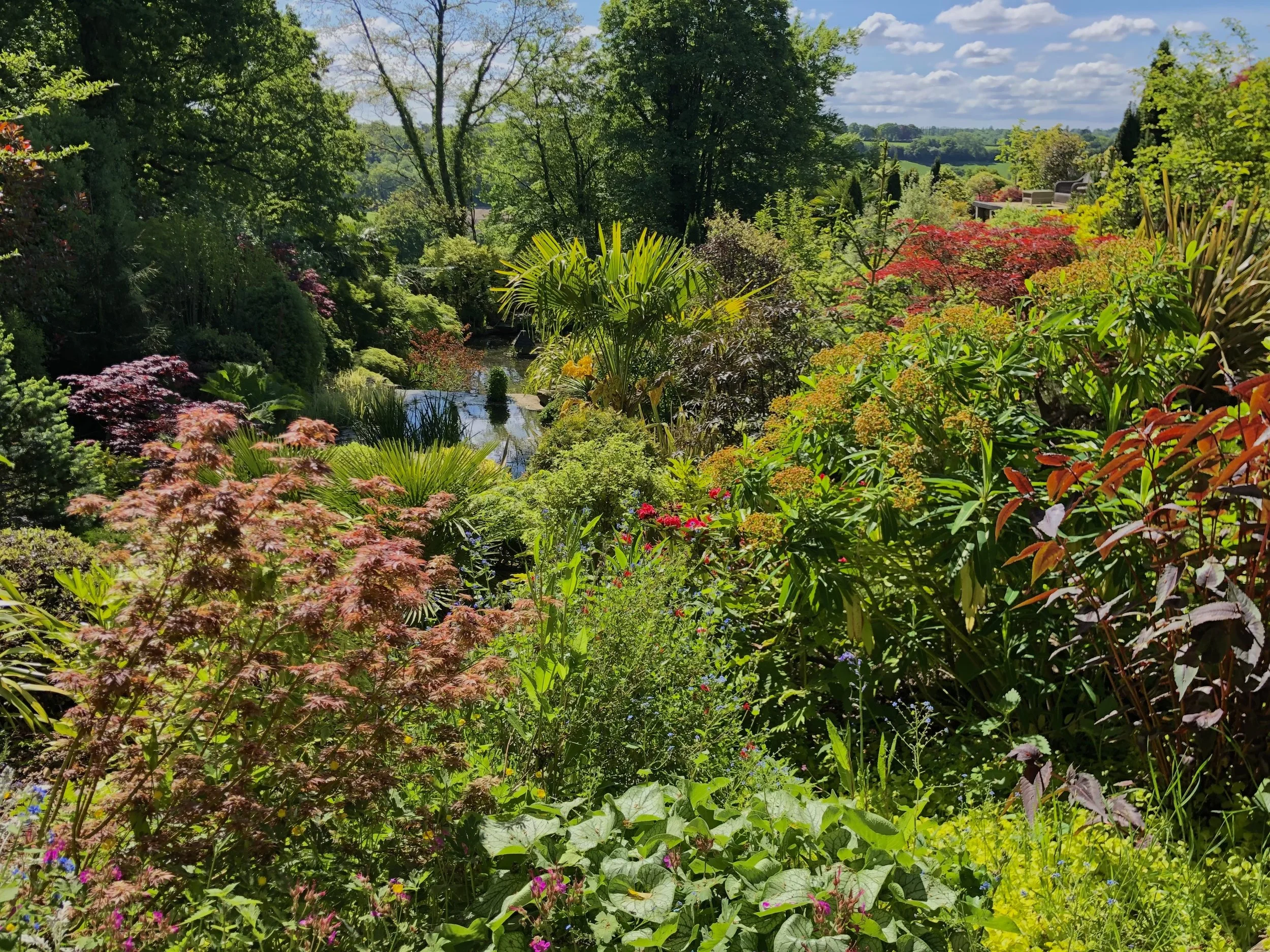 A lush, vibrant garden filled with various colourful plants and flowers, with trees in the background under a partly cloudy sky. Planting services provided by JP Gardens in Tunbridge Wells, Kent. 