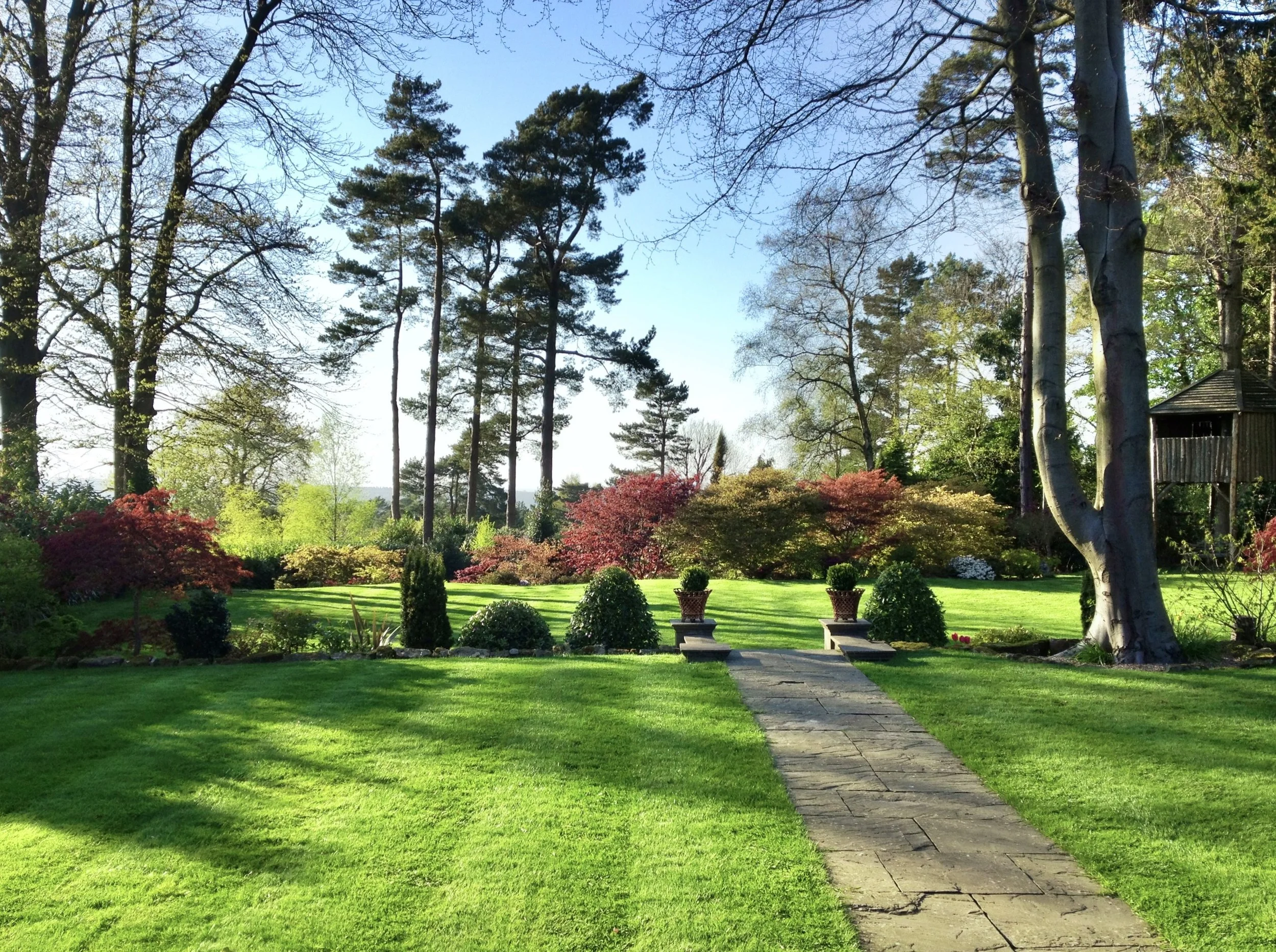 A lush green yard with a stone pathway leading to a garden area surrounded by colorful bushes and tall trees under a clear blue sky.