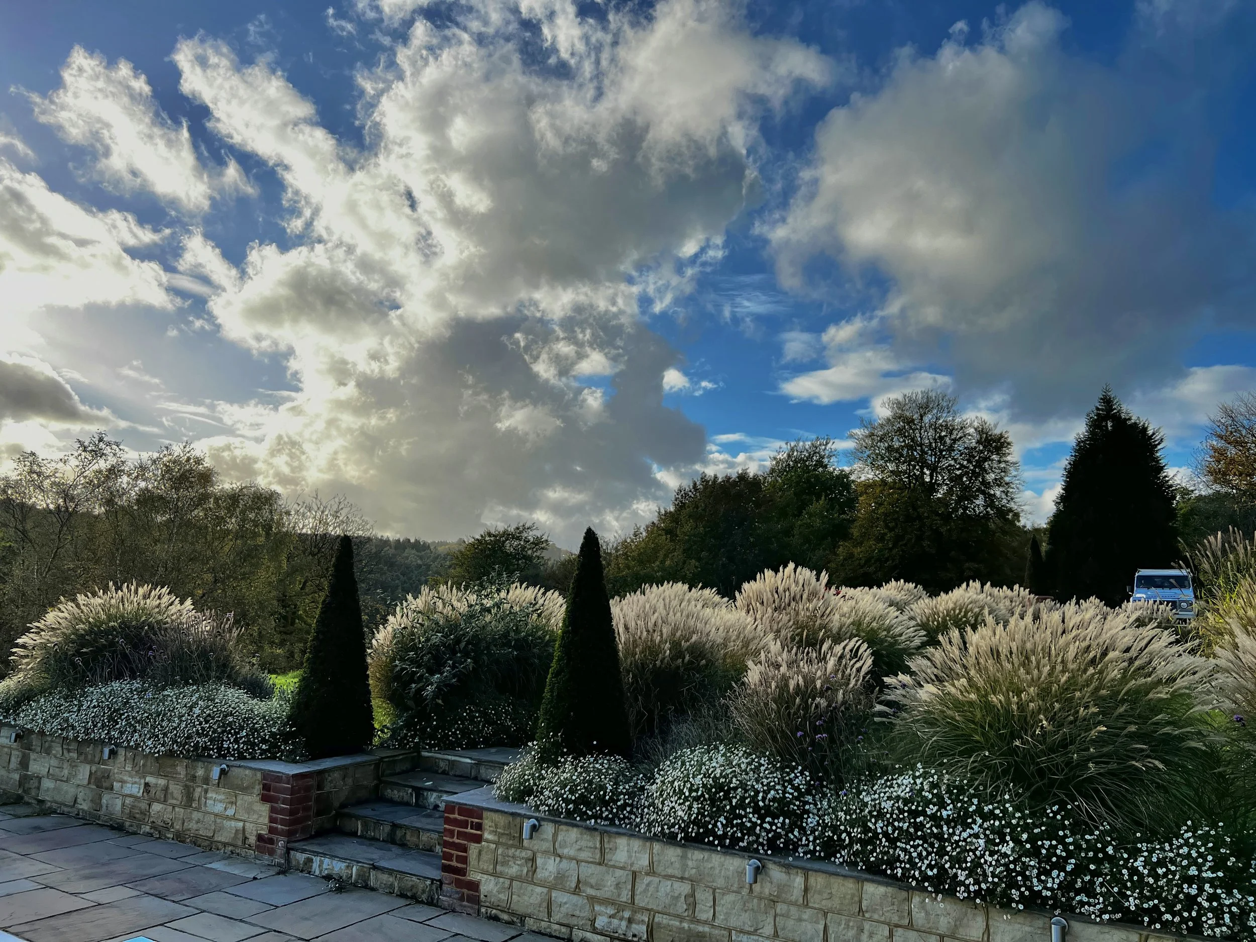 A landscaped garden with white flowers and tall dark green shrubs in front of a stone wall. The sky is partly cloudy with patches of blue and sunlight breaking through. Garden designed and maintained by JP Gardens, Tunbridge Wells, Kent.