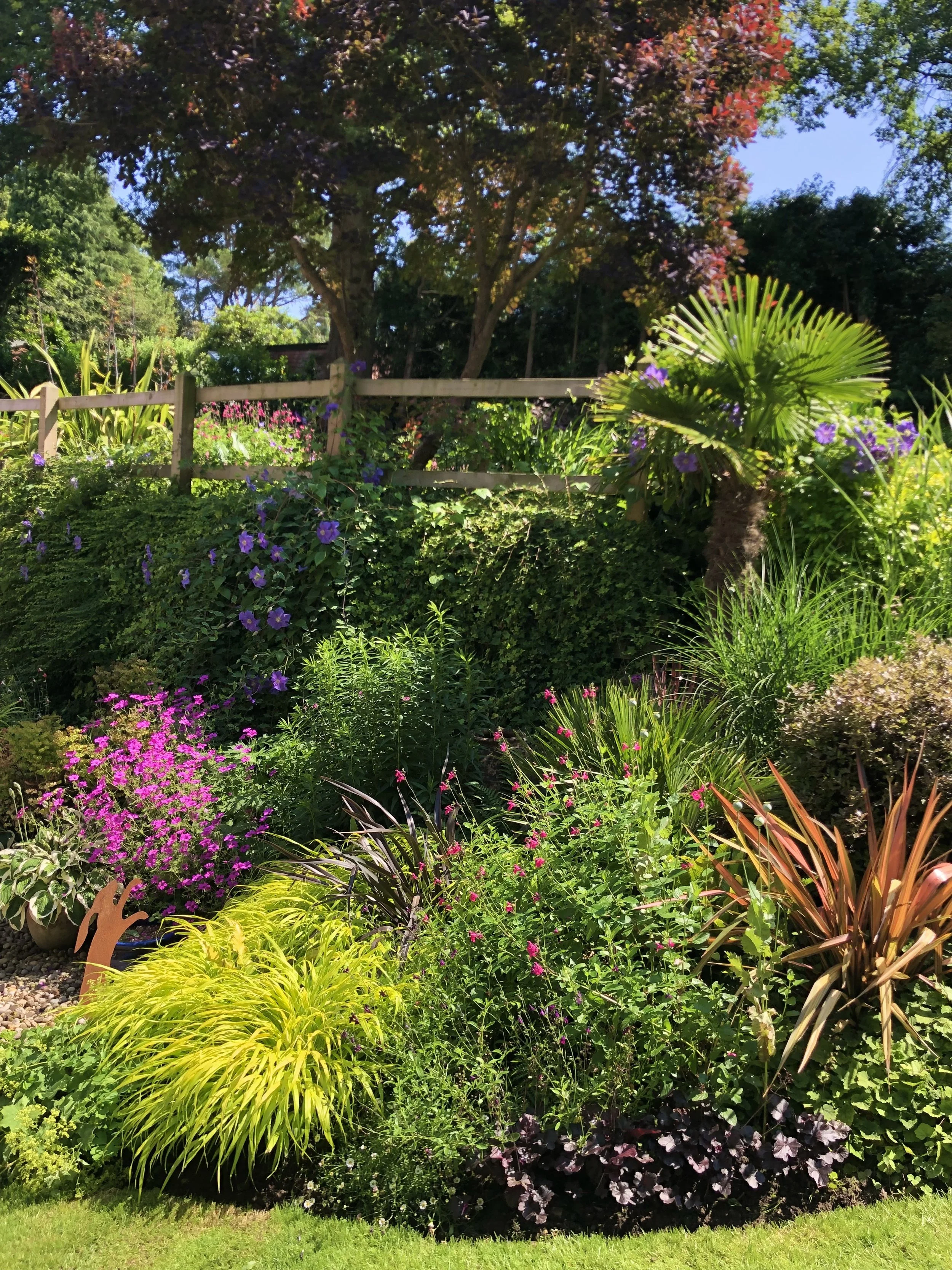 Colorful garden with various plants, flowers, and a wooden fence, trees in the background, under a blue sky. Planted by JP Gardens, in Tunbridge Wells, Kent.