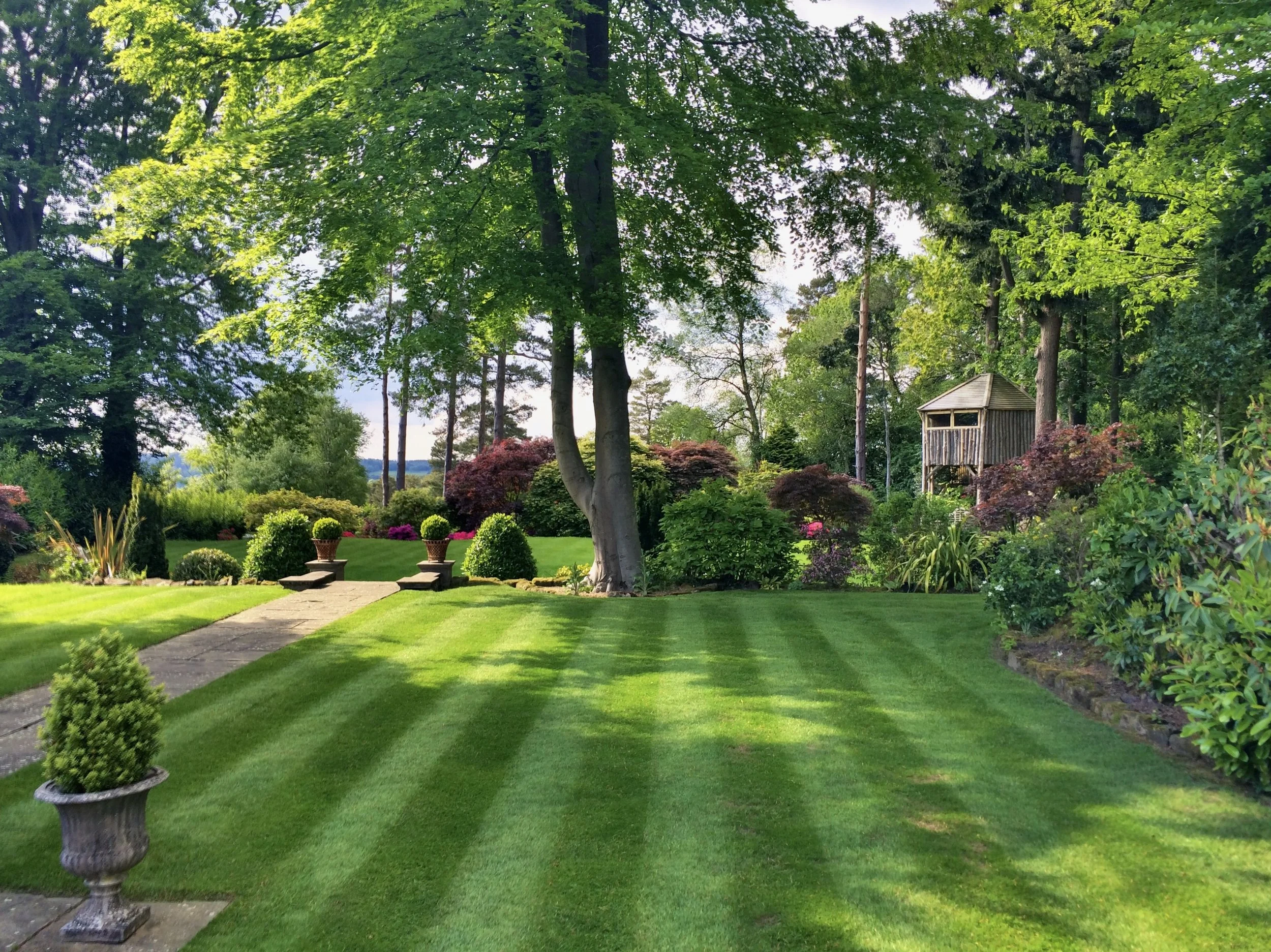 A lush green backyard garden with well-manicured grass, potted plants, and a paved walkway. Tall trees with dense foliage provide shade, and there is a small wooden shed in the background surrounded by vibrant shrubs and plants. JP Gardens, Kent.