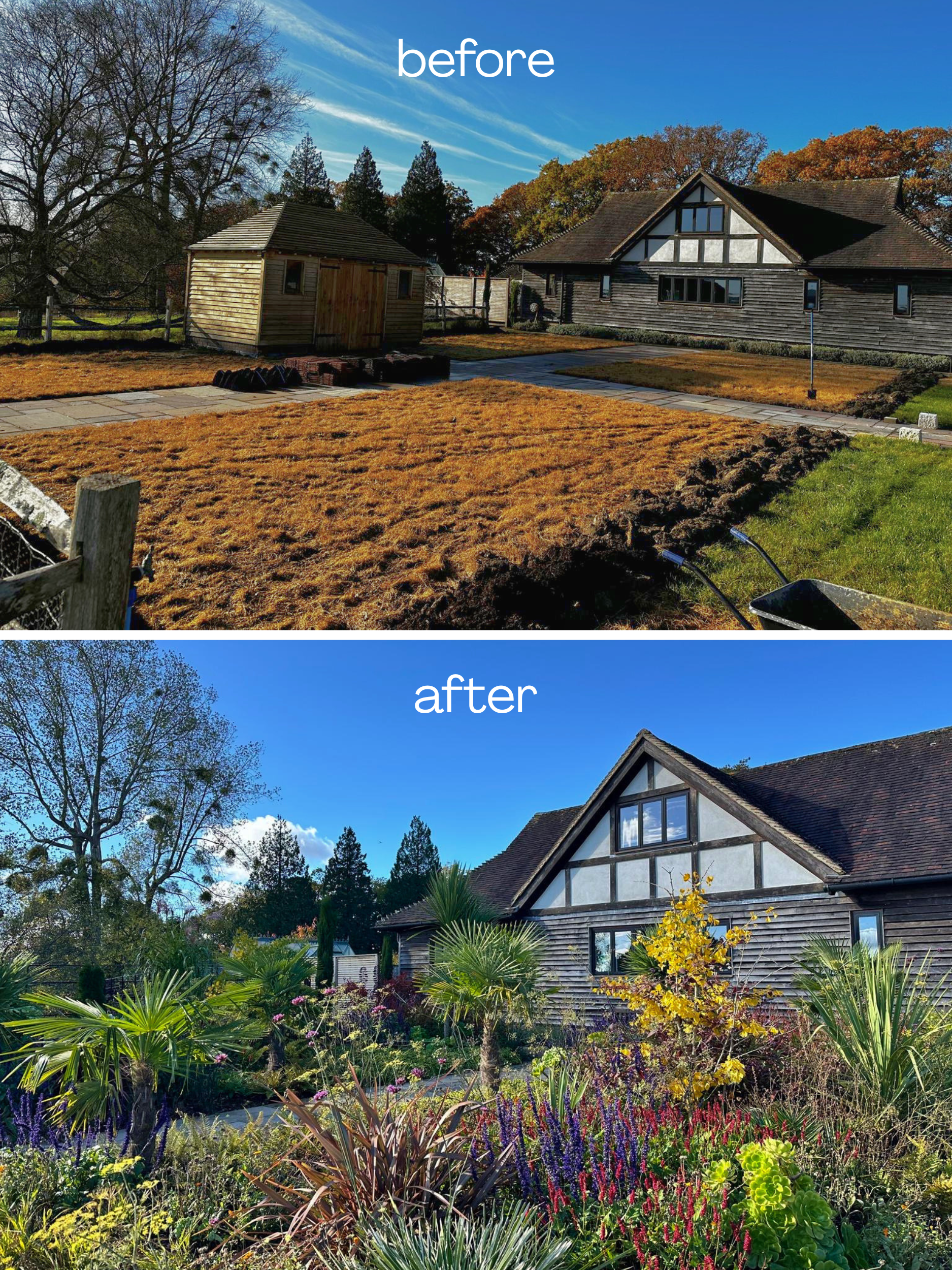 A house with a dark brown, half-timbered exterior, surrounded by lush plants and trees, under a bright blue sky with some clouds.