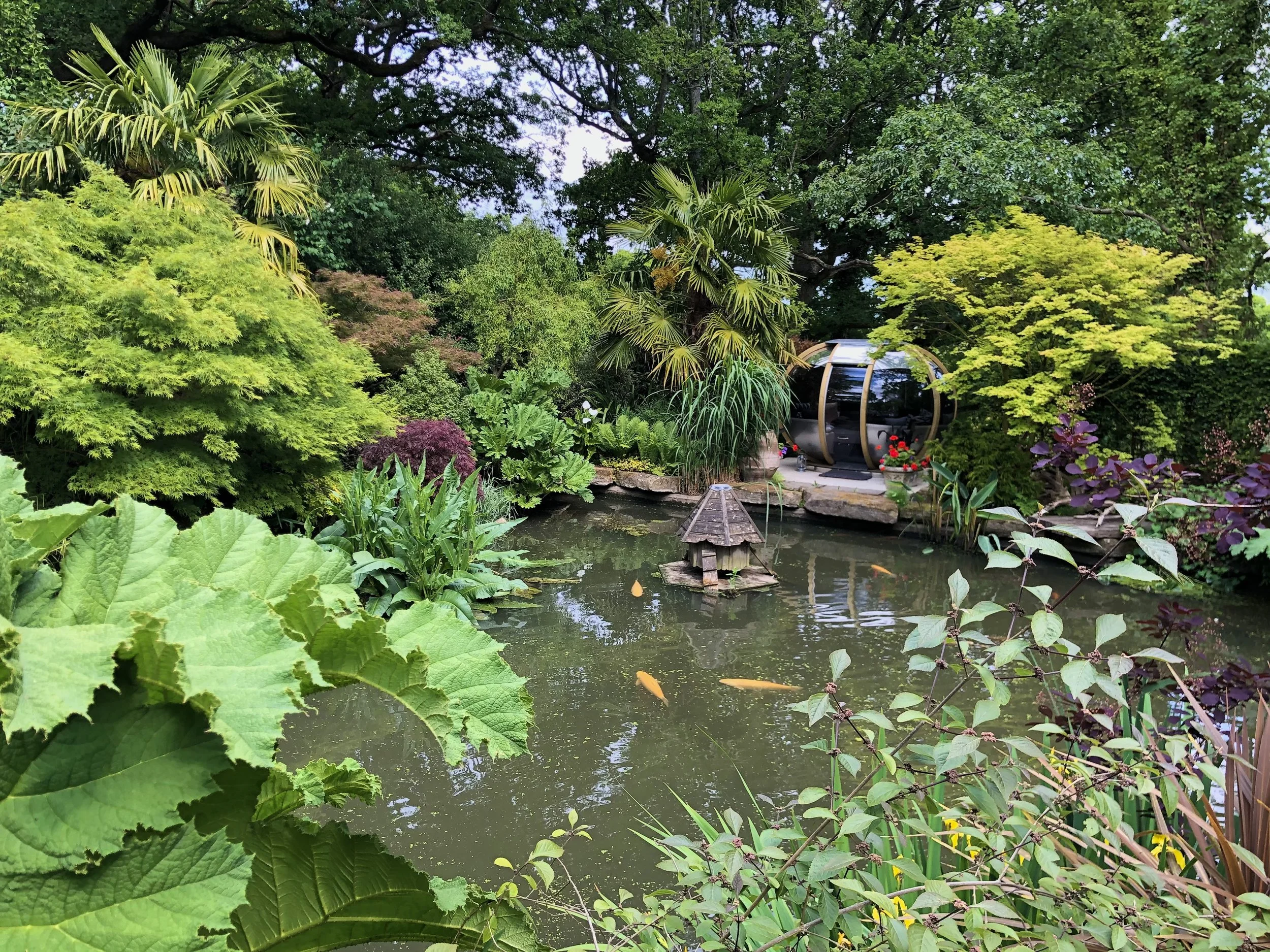 Green lush garden with various plants and trees surrounding a small pond with orange fish. In the background, there's a transparent dome-shaped greenhouse or pod.