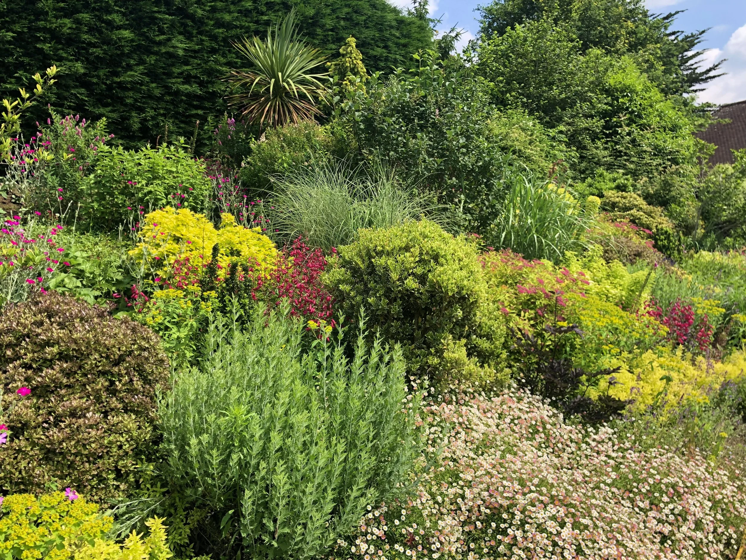 A lush garden with various green foliage, colorful flowers, and trees under a blue sky with clouds.