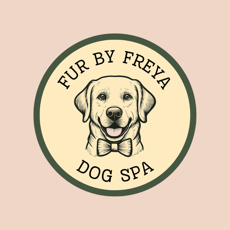 Circular Fur by Freya dog spa logo featuring a smiling golden retriever wearing a bow tie