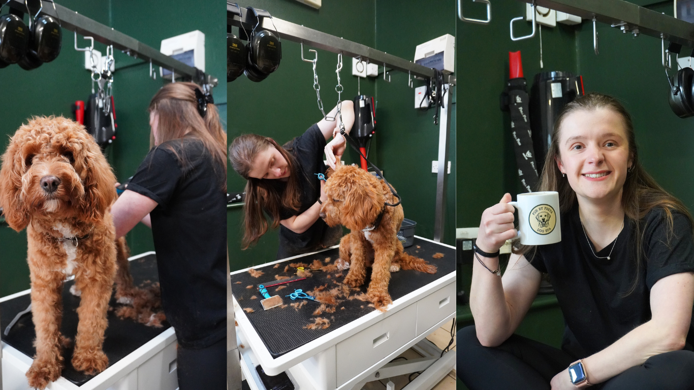 Fur by Freya | Content Day