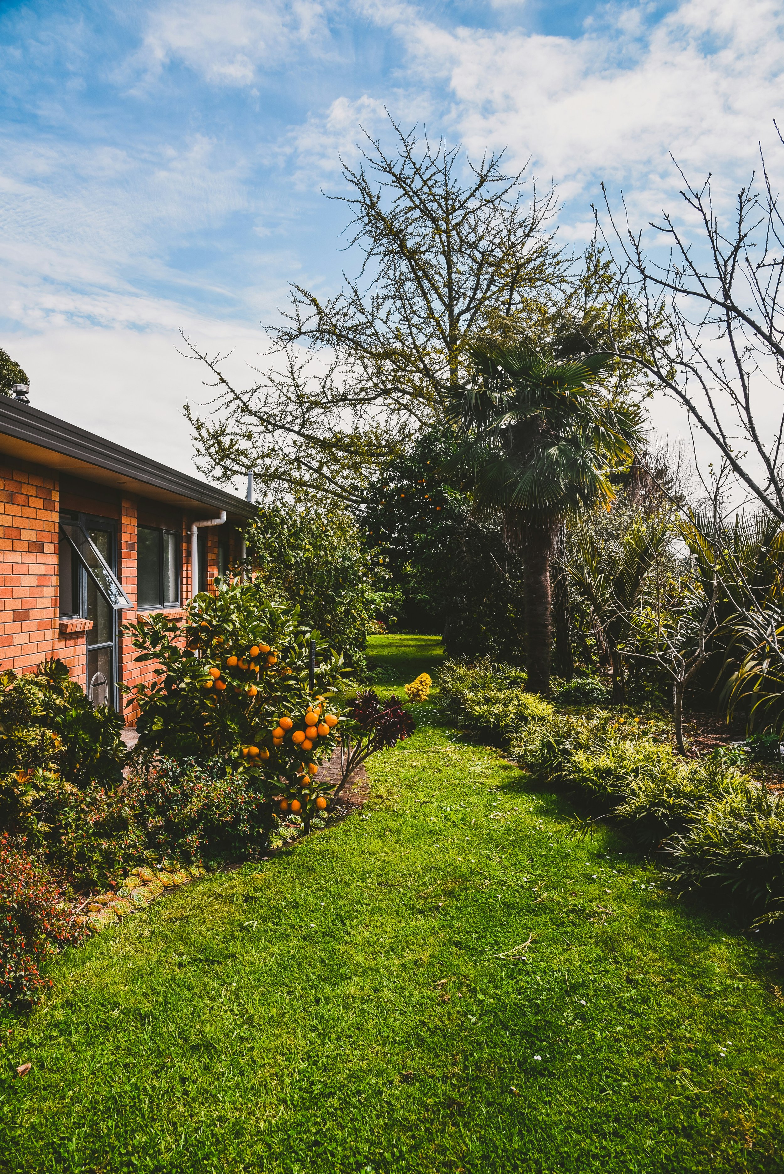 A lush garden with a green lawn, various plants, and trees, including a palm tree, next to a red-brick house with black-framed windows. The sky is partly cloudy with patches of blue.