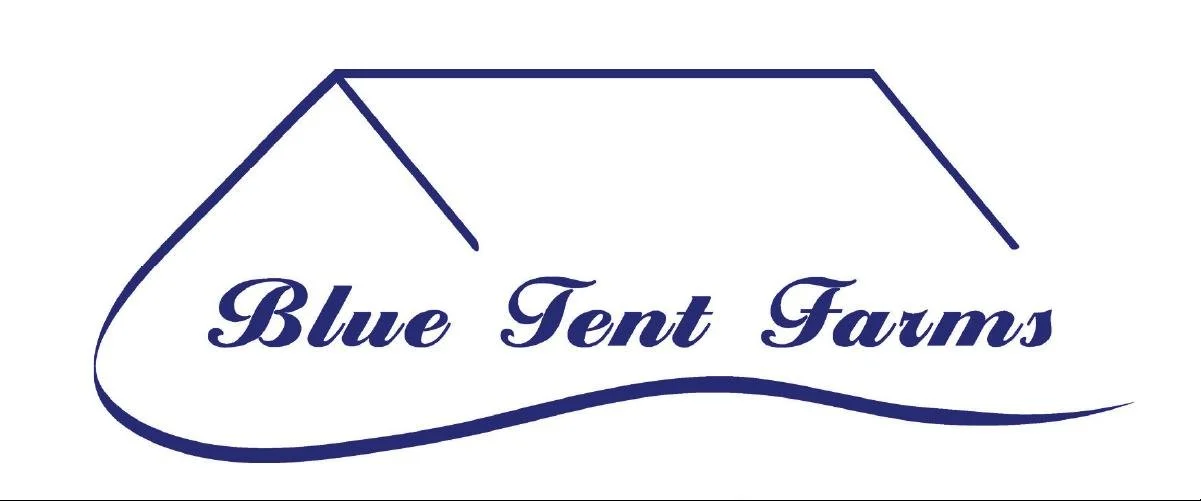 Logo for Blue Tent Farms featuring a blue tent outline with the farm name written inside.