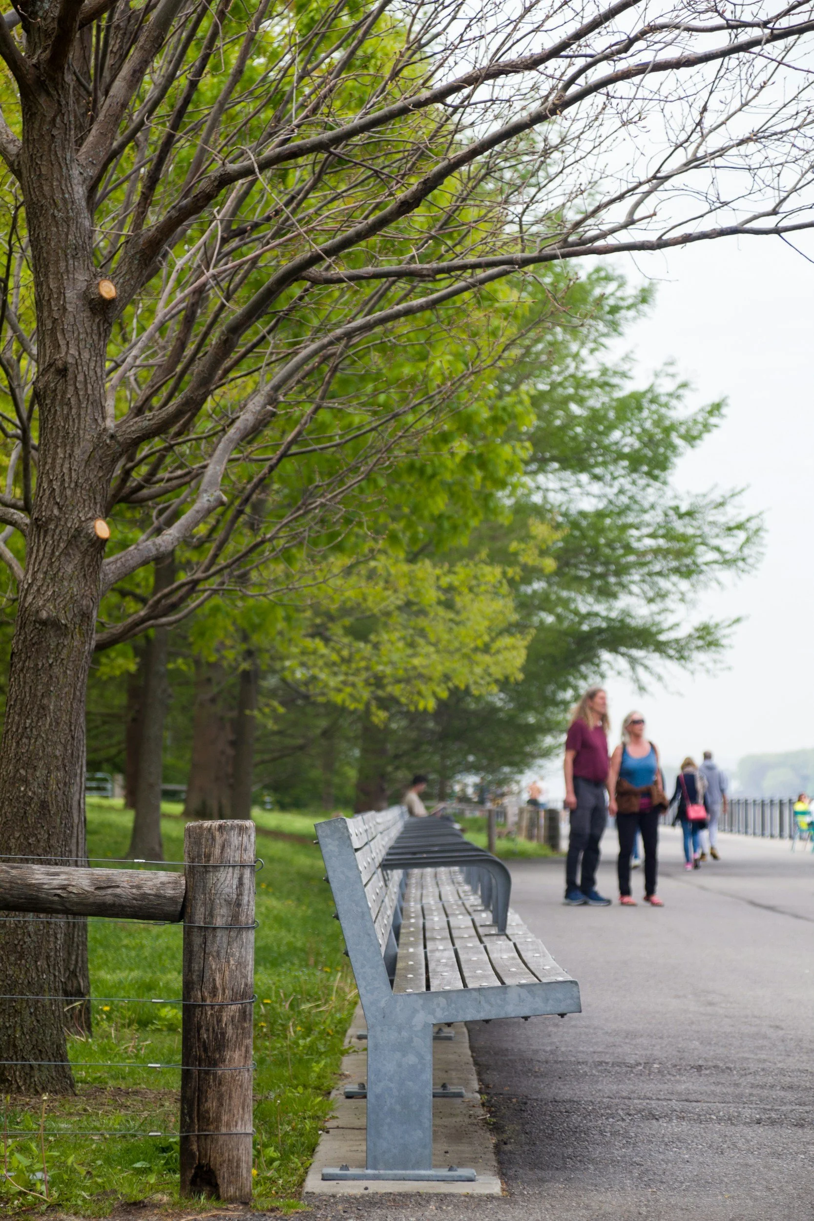 A park scene with a row of empty benches along a paved walkway, trees with green leaves, and a few people walking and standing in the background.