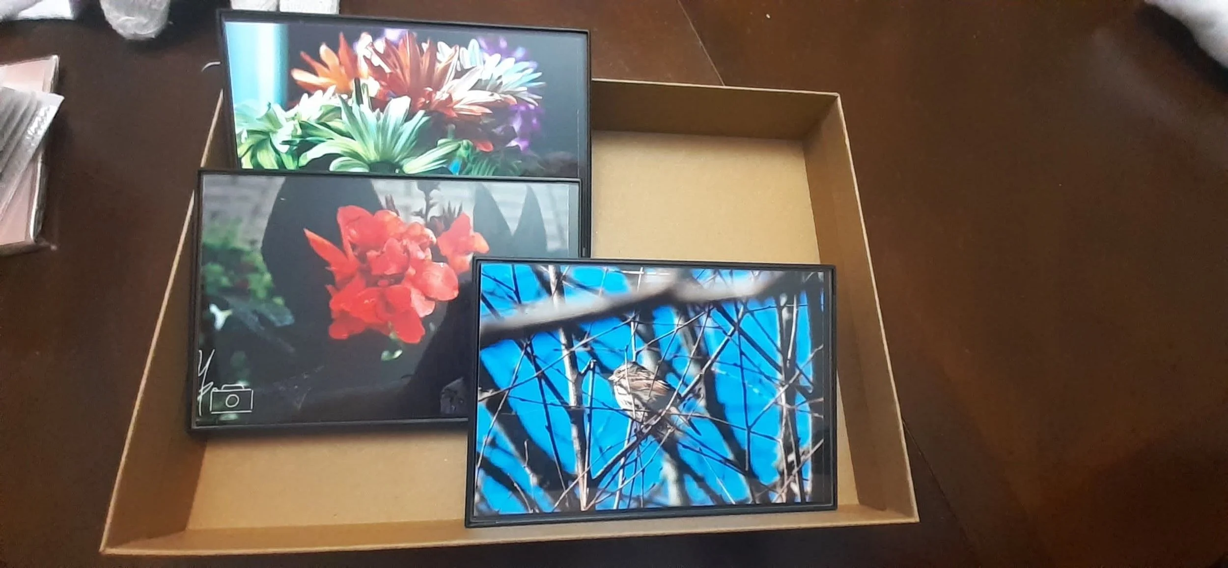 Four framed photographs of flowers and nature arranged in a cardboard box on a dark surface.