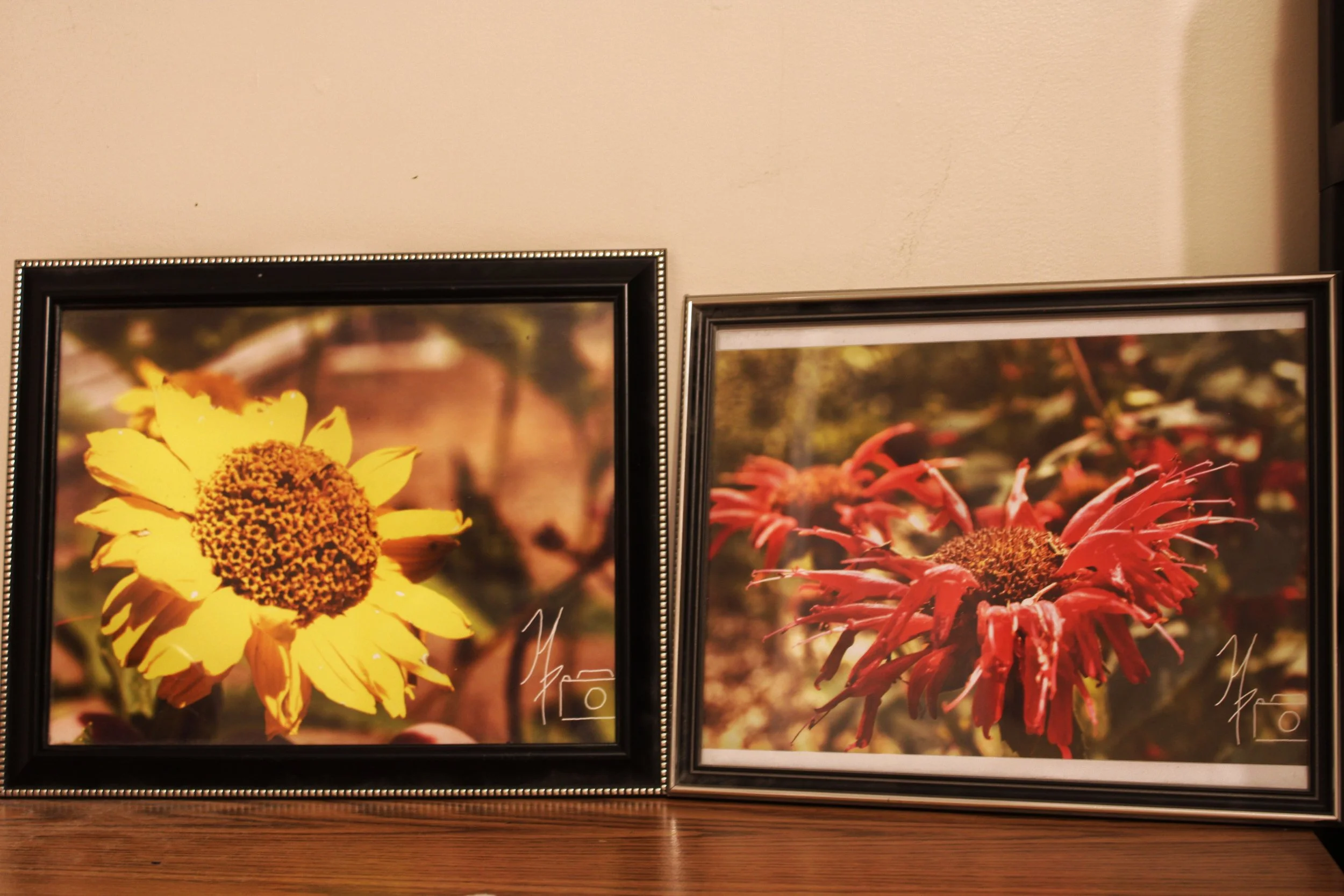 Two framed photographs of flowers, one yellow and one red, hanging on a beige wall. The photos are placed on a wooden surface.