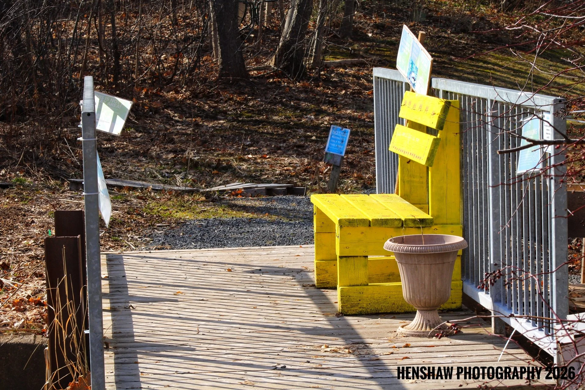 A yellow painted wooden bench on a small wooden deck, with a beige flowerpot in front of it, backed by a metal fence and a wooded area with bare trees and fallen leaves.