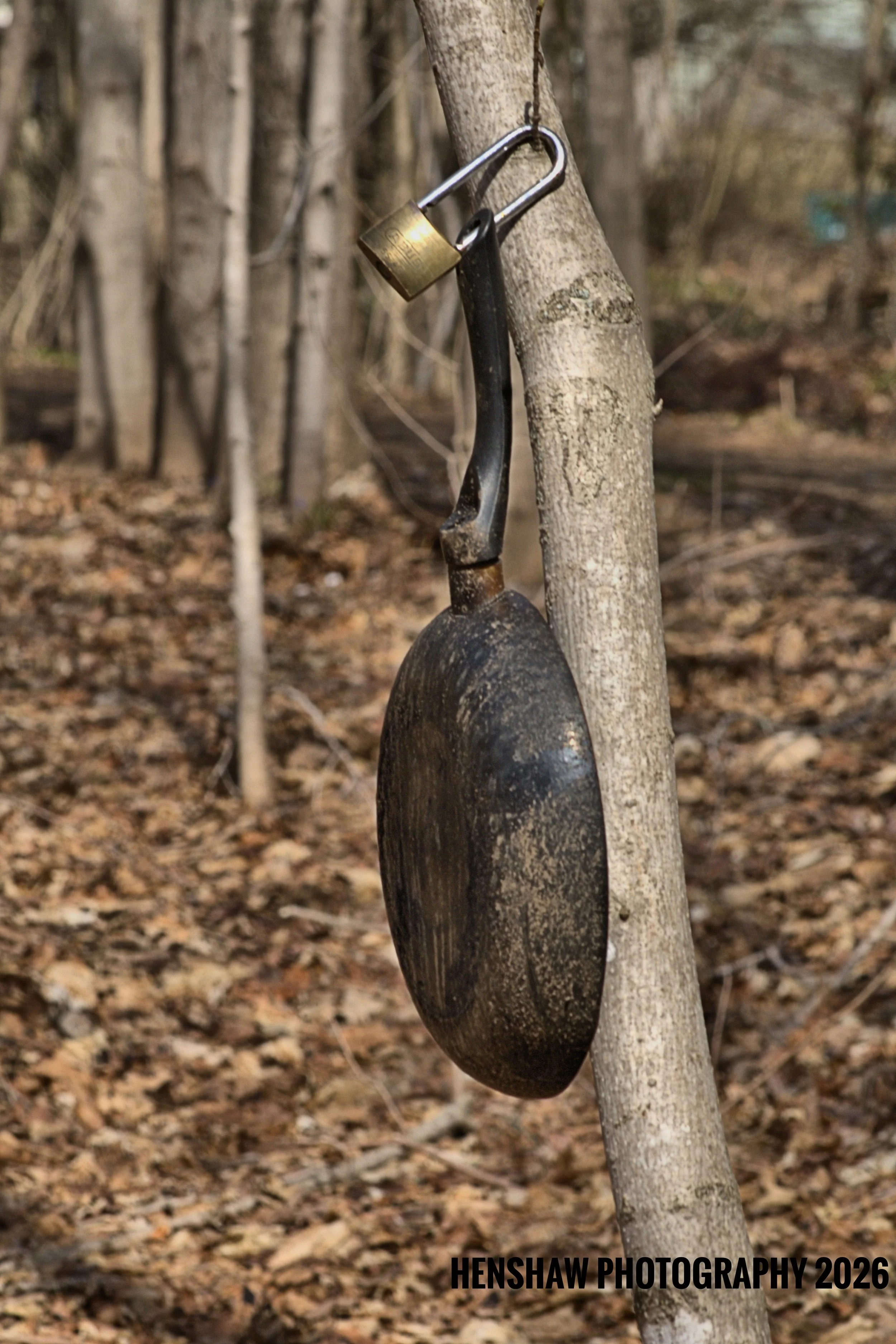 A shovel with a black blade and a handle is hung on a tree trunk in a wooded area with dry leaves on the ground. A wire loop is fastened around the tree to hold the shovel. The photo is branded with "Henshaw Photography 2026" in black text at the bot