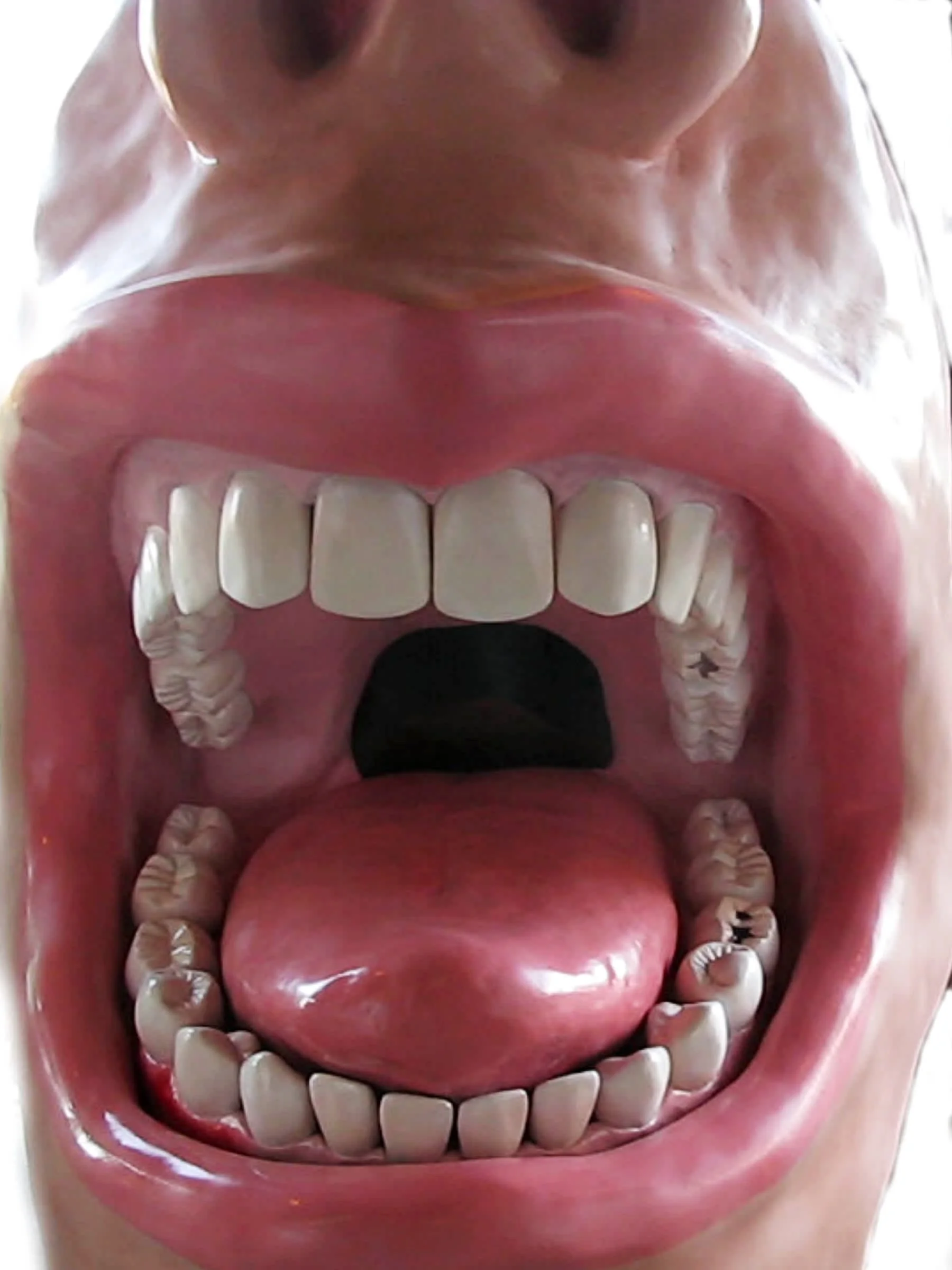 bigmouth-gallery-04.jpg