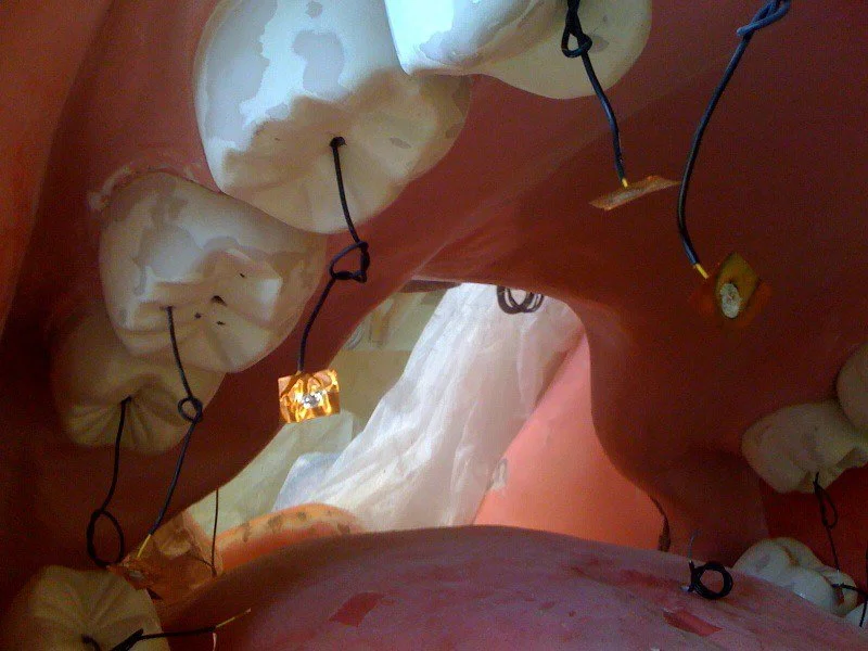 photo 5_1.JPG