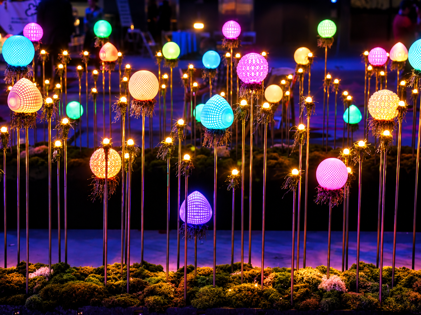 Flower 5.png
