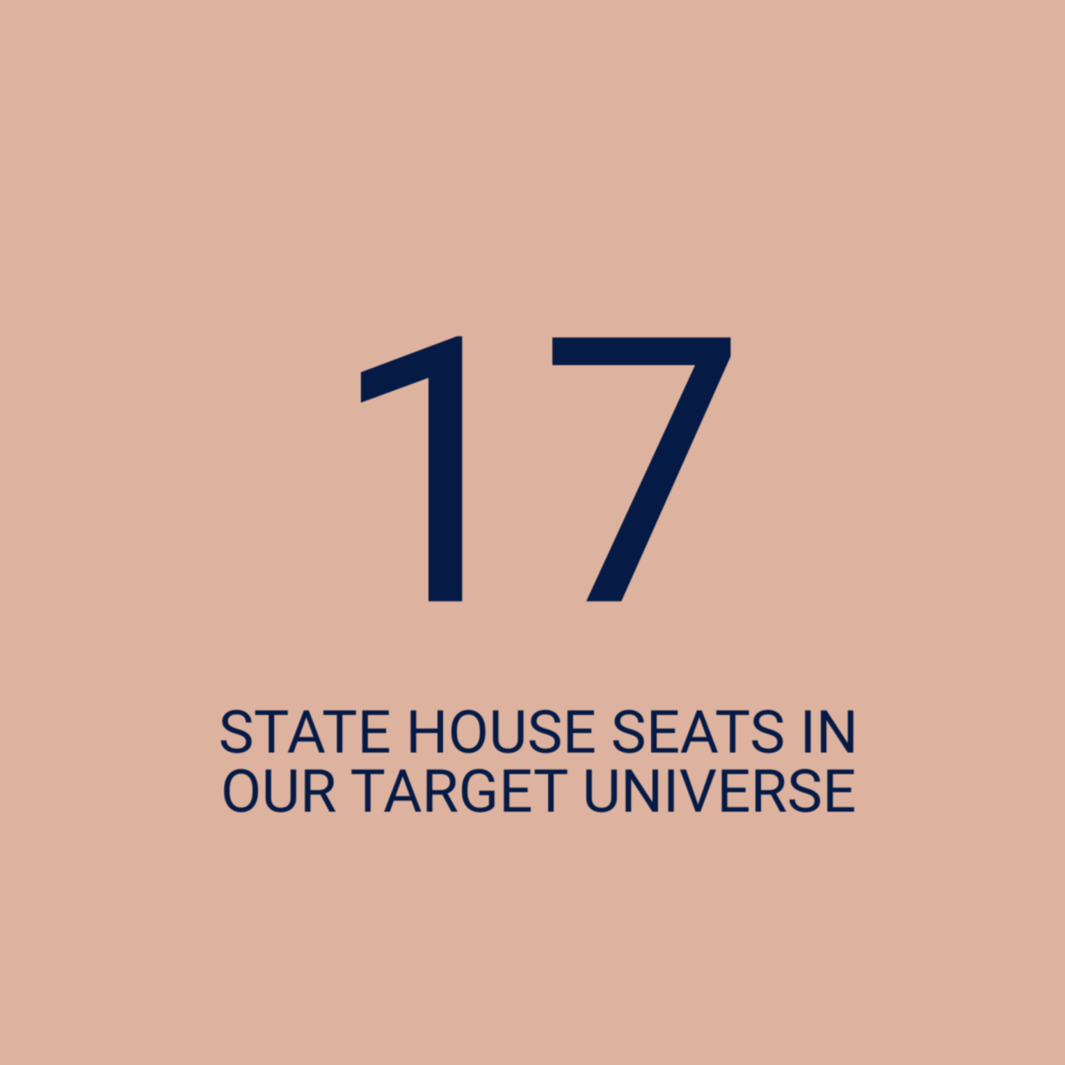 Number 17 in large font with text below reading 'State house seats in our target universe' on a pink background.
